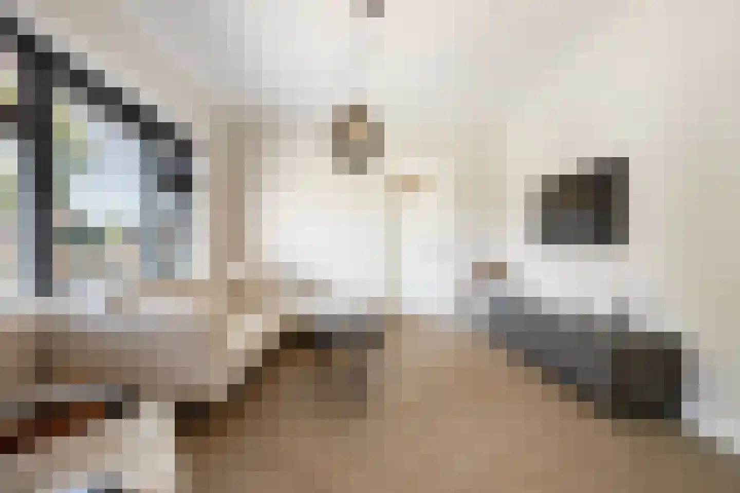 Schimmelpenninckstraat 1 Apeldoorn thumbnail 12