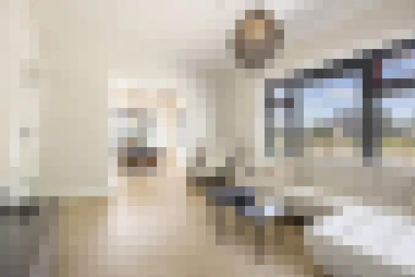 Schimmelpenninckstraat 1 Apeldoorn thumbnail 13