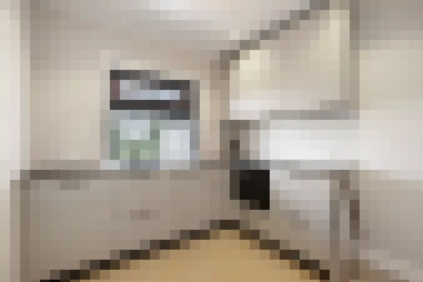 Schimmelpenninckstraat 1 Apeldoorn thumbnail 16