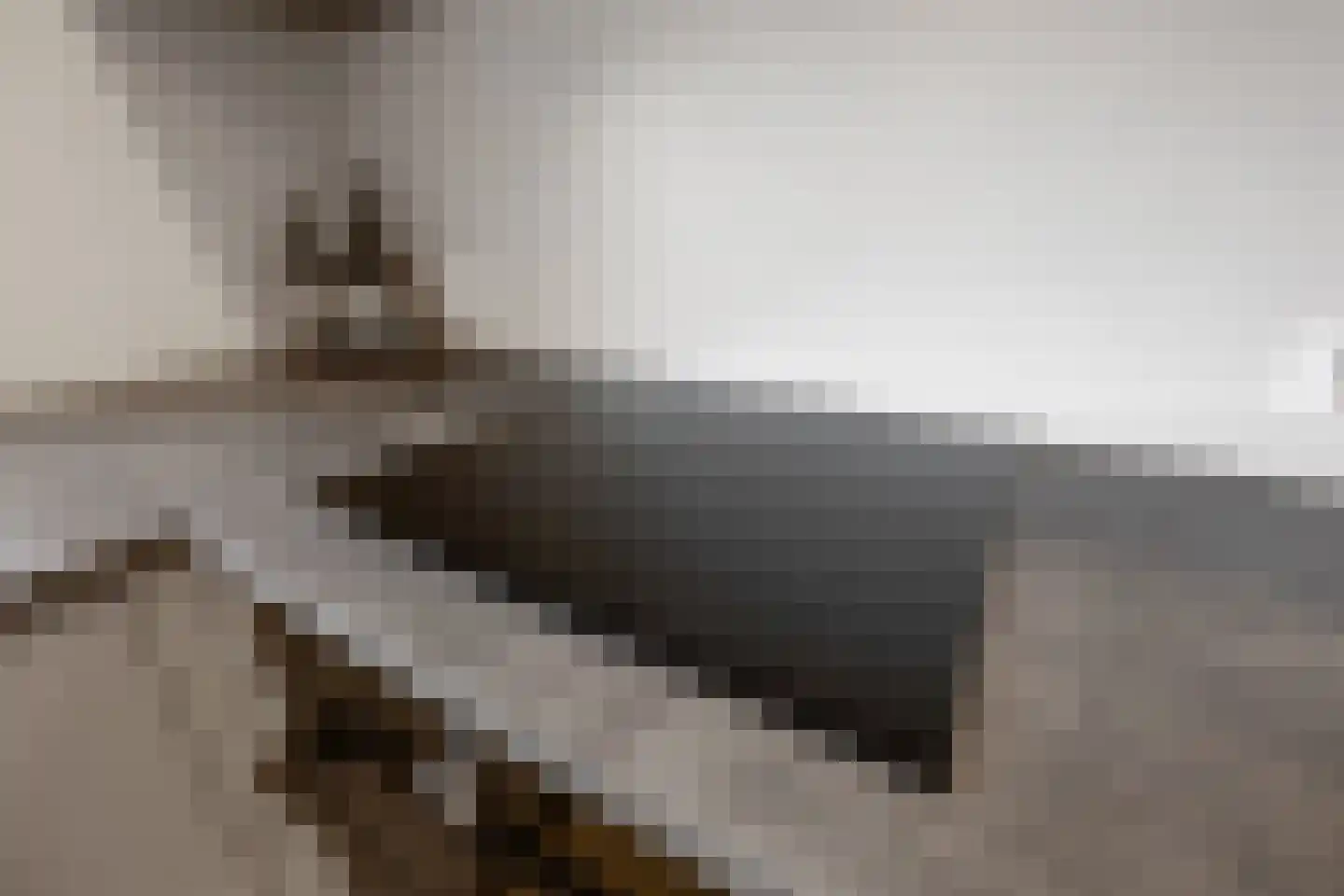 Schimmelpenninckstraat 1 Apeldoorn thumbnail 17