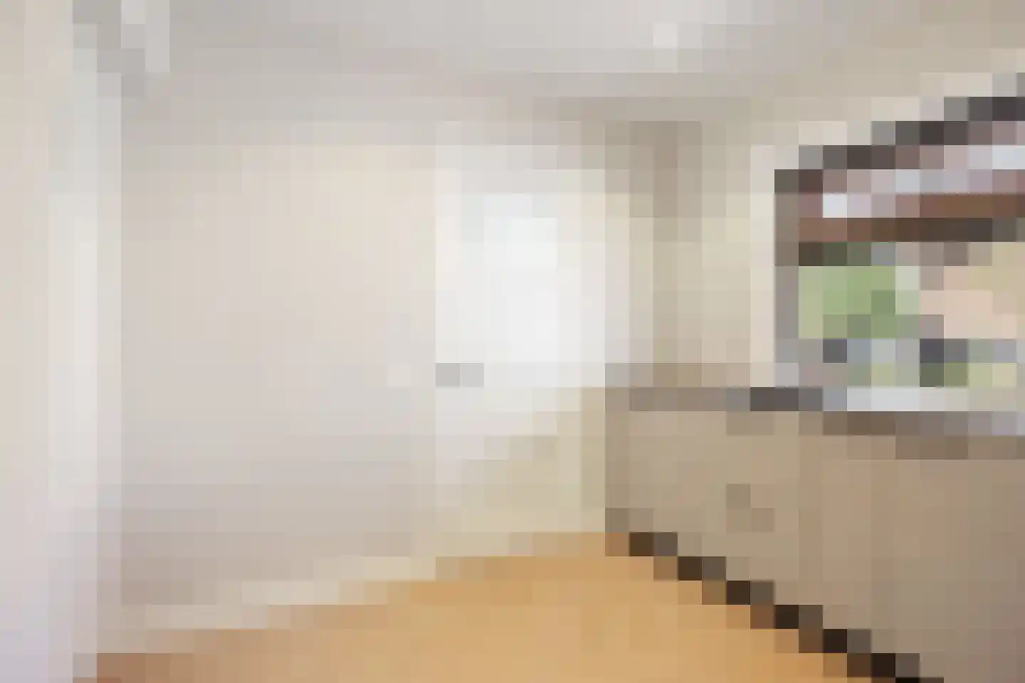 Schimmelpenninckstraat 1 Apeldoorn thumbnail 18