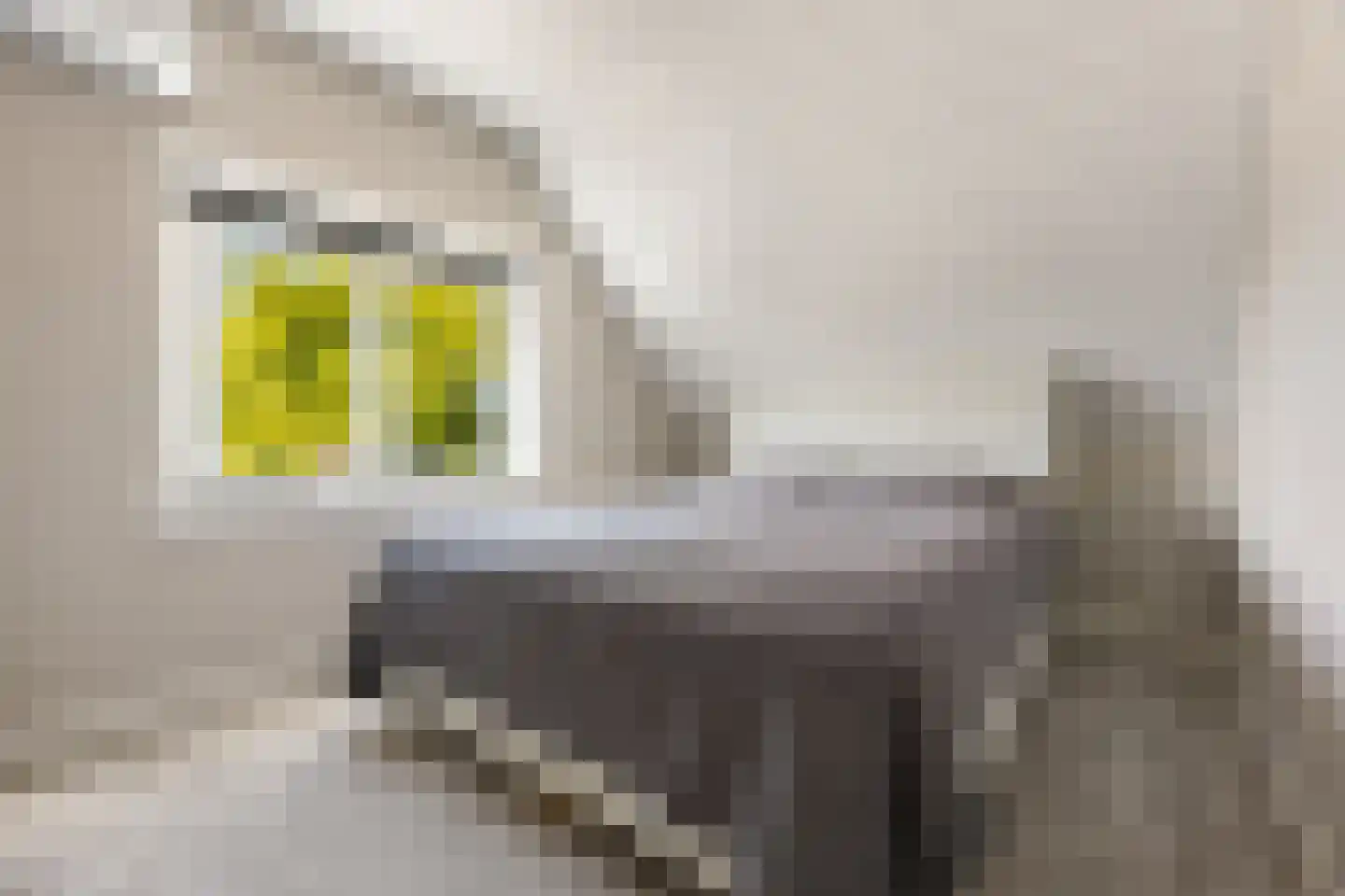 Schimmelpenninckstraat 1 Apeldoorn thumbnail 21