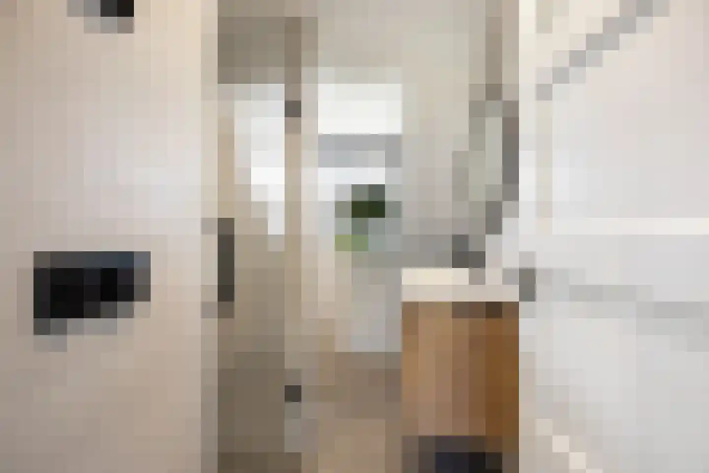 Schimmelpenninckstraat 1 Apeldoorn thumbnail 24