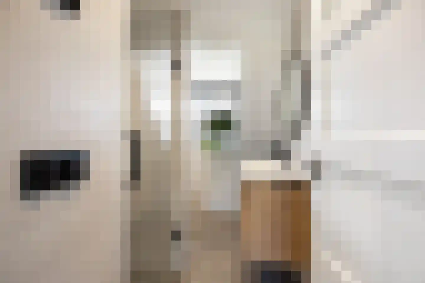 Schimmelpenninckstraat 1 Apeldoorn thumbnail 25