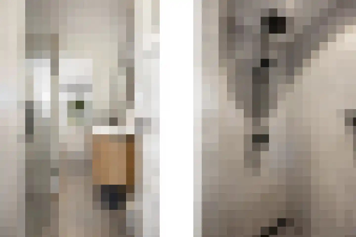 Schimmelpenninckstraat 1 Apeldoorn thumbnail 27