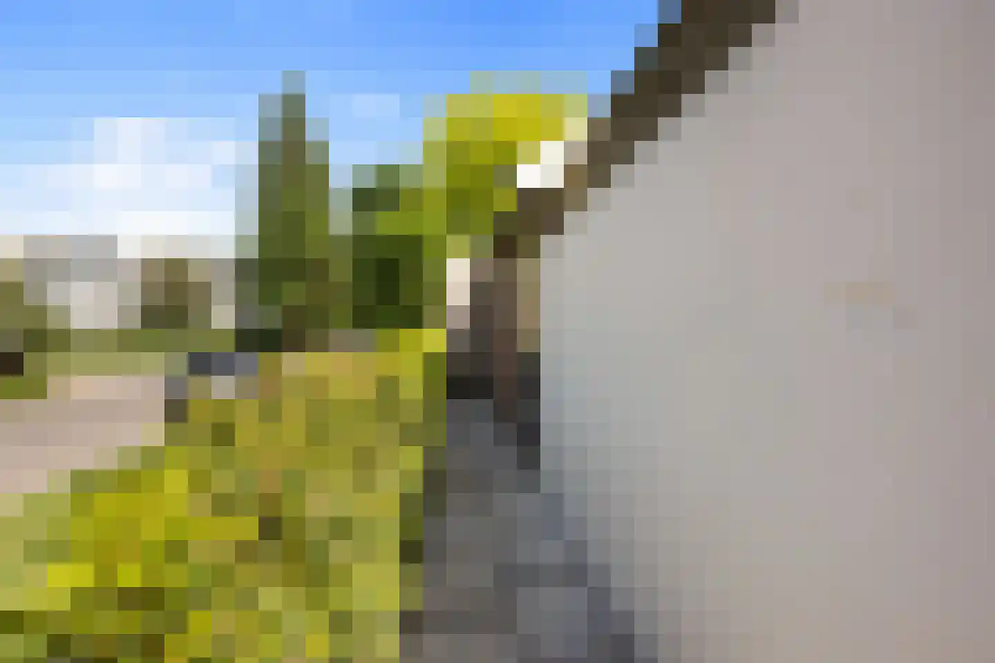 Schimmelpenninckstraat 1 Apeldoorn thumbnail 36