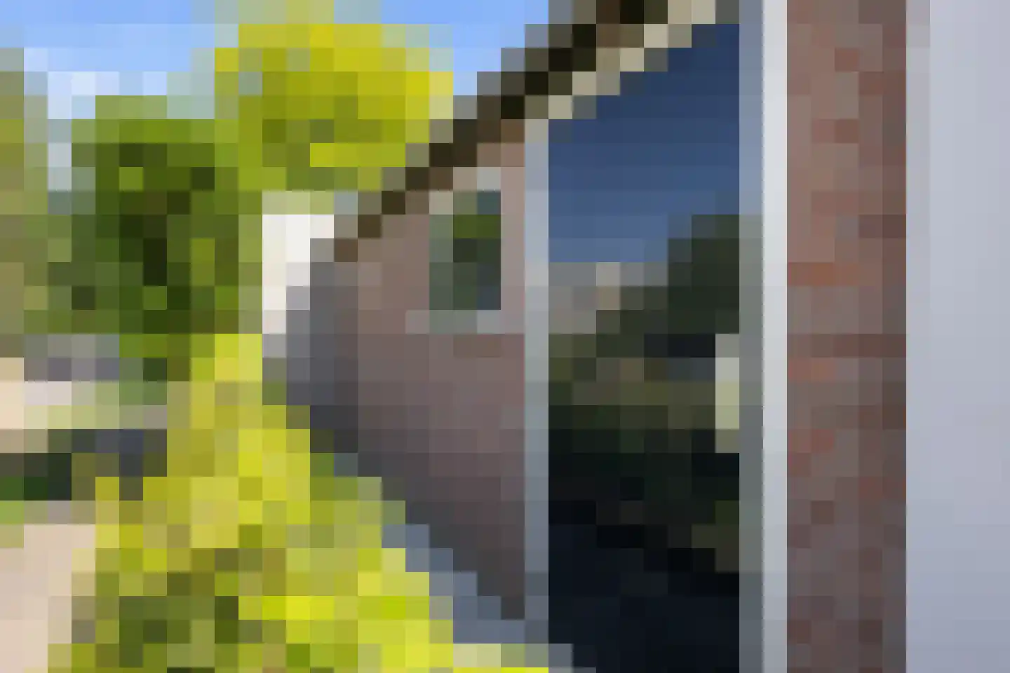 Schimmelpenninckstraat 1 Apeldoorn thumbnail 37