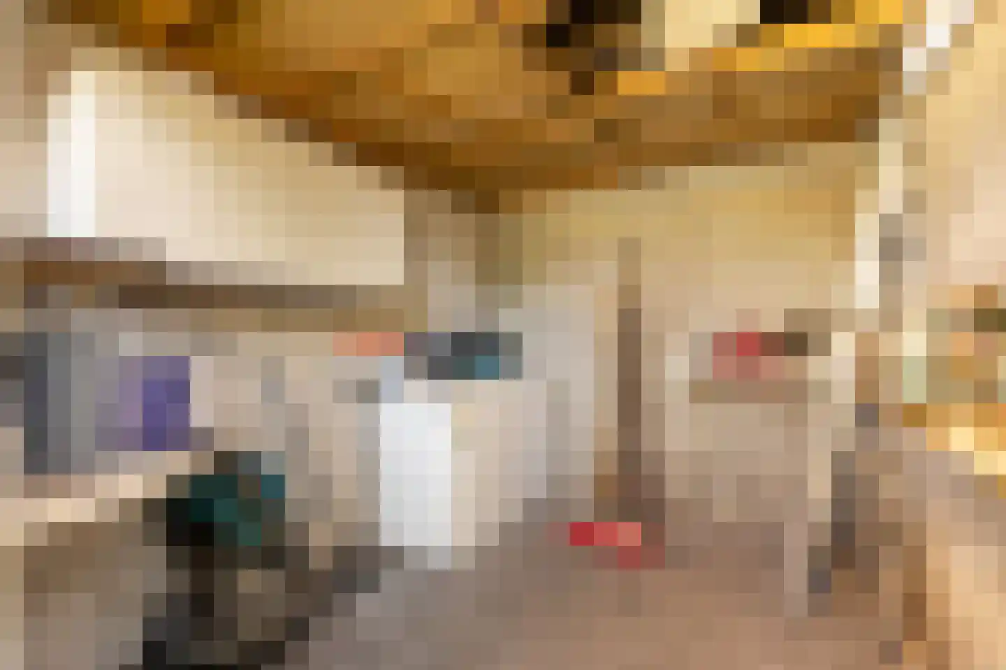 Schimmelpenninckstraat 1 Apeldoorn thumbnail 38