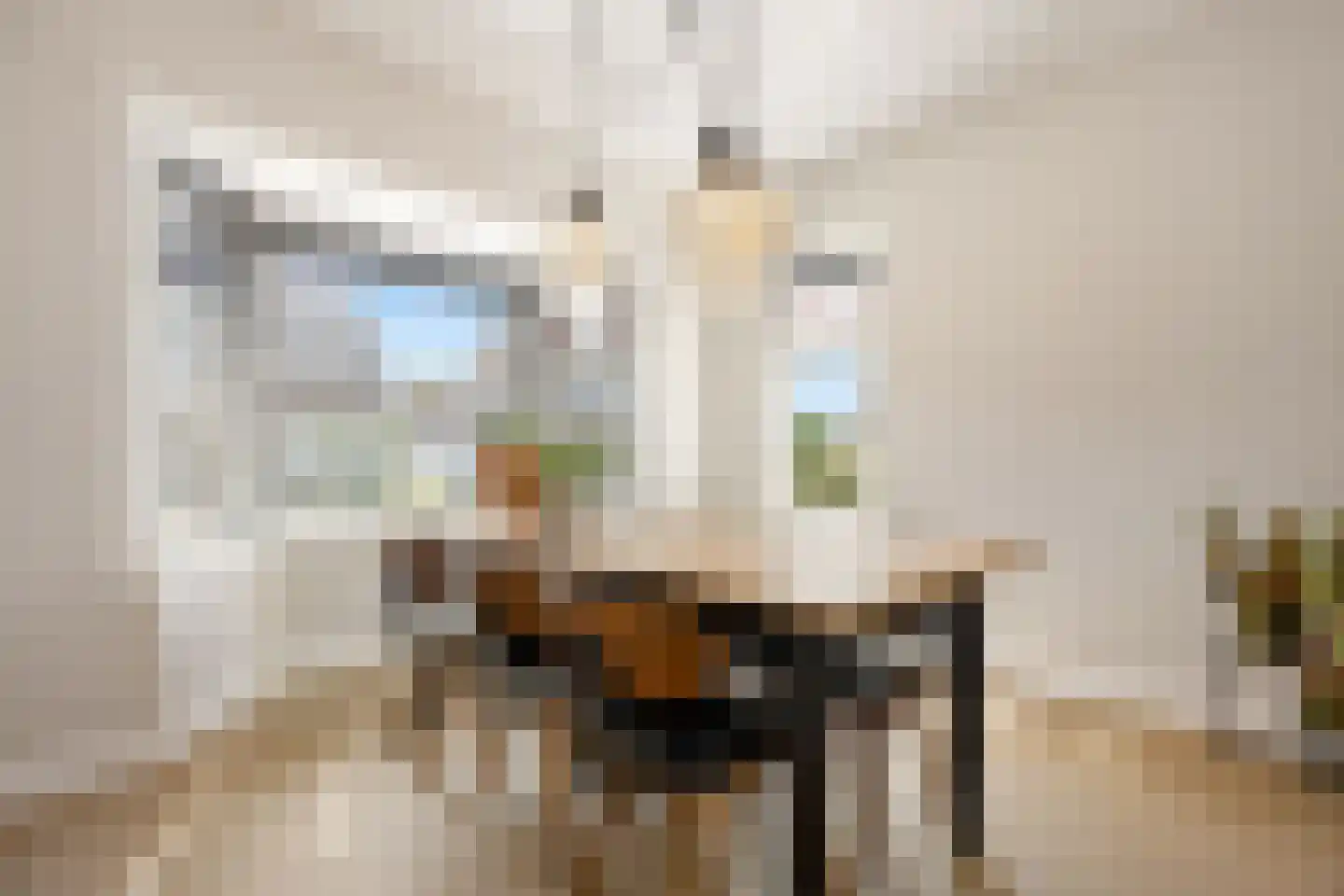 Schimmelpenninckstraat 1 Apeldoorn thumbnail 7