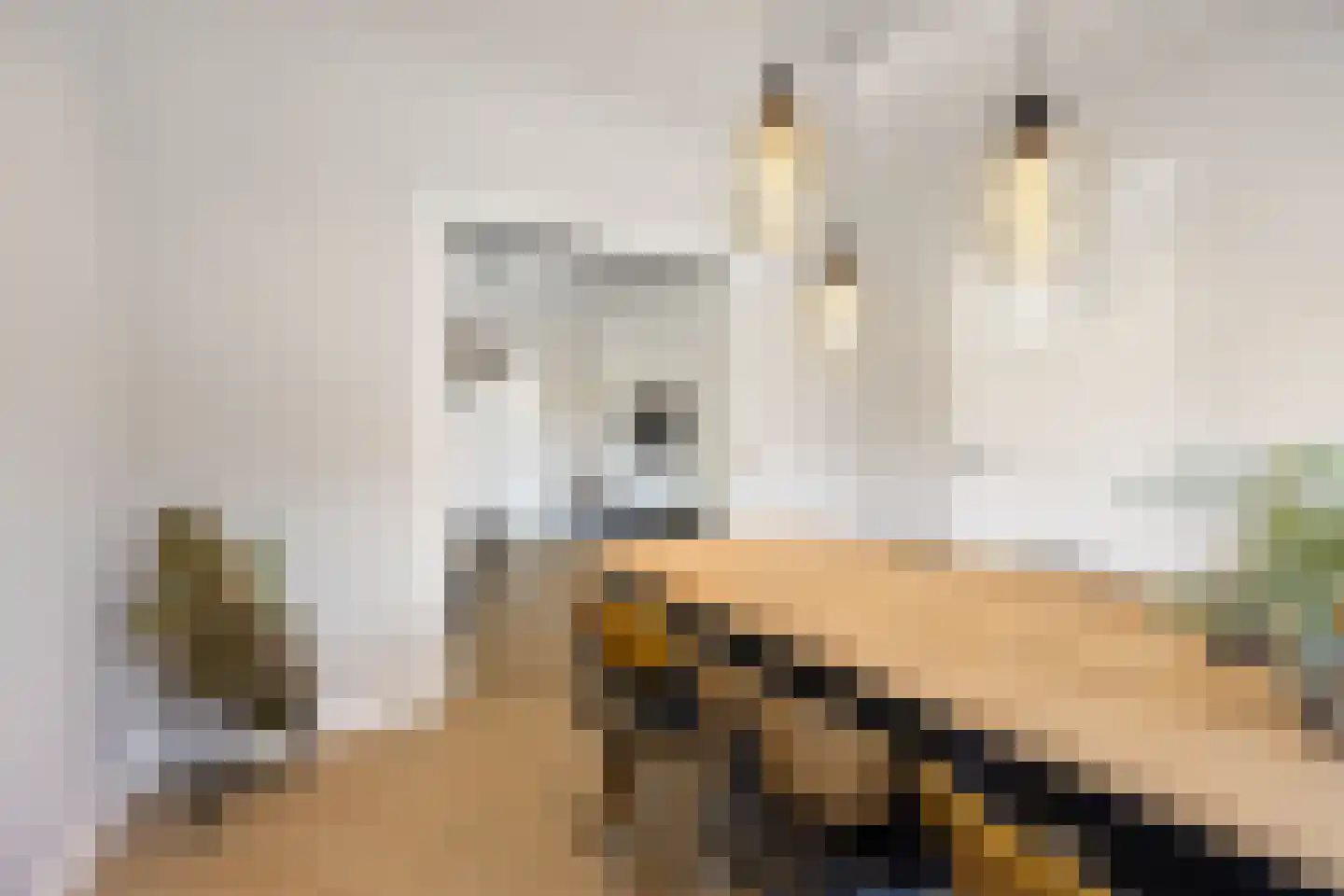 Schimmelpenninckstraat 1 Apeldoorn thumbnail 9