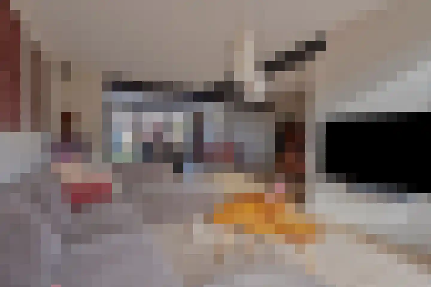 Schimmelpenninckstraat 12 Grave thumbnail 10