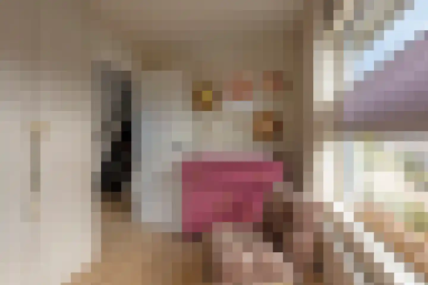 Schimmelpenninckstraat 12 Grave thumbnail 24