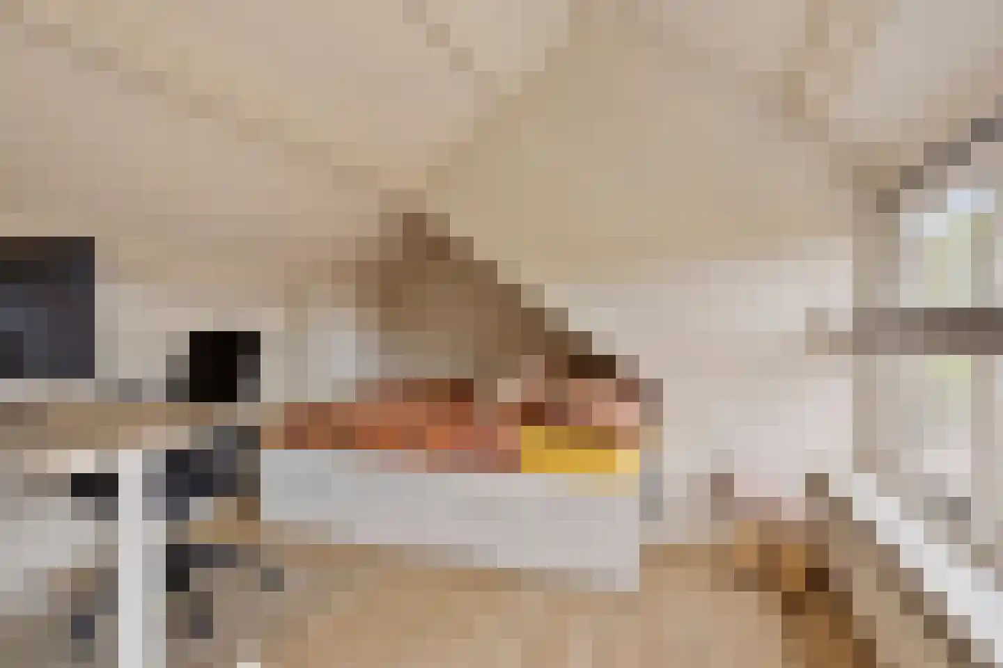 Schimmelpenninckstraat 12 Grave thumbnail 28