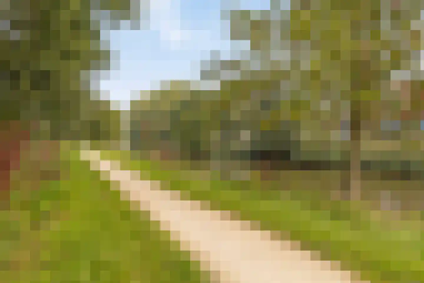 Schimmelpenninckstraat 12 Grave thumbnail 37