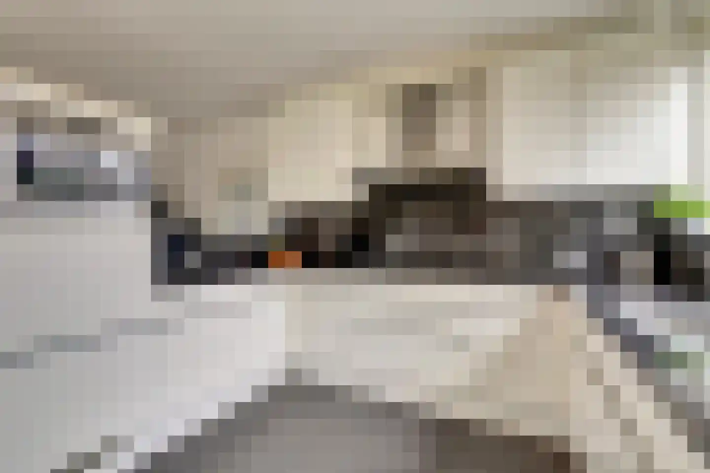 Schimmelpenninckstraat 12 Zwijndrecht thumbnail 12