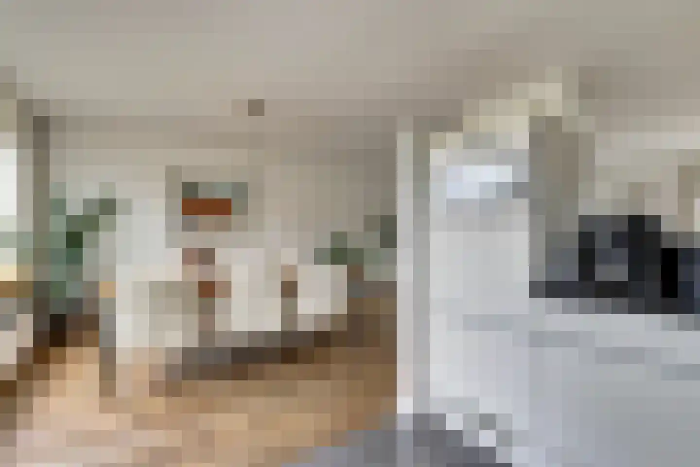 Schimmelpenninckstraat 12 Zwijndrecht thumbnail 15