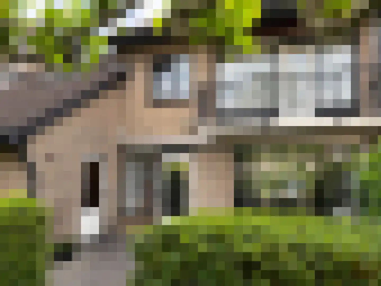 Schimmelpenninckstraat 12 Zwijndrecht thumbnail 39