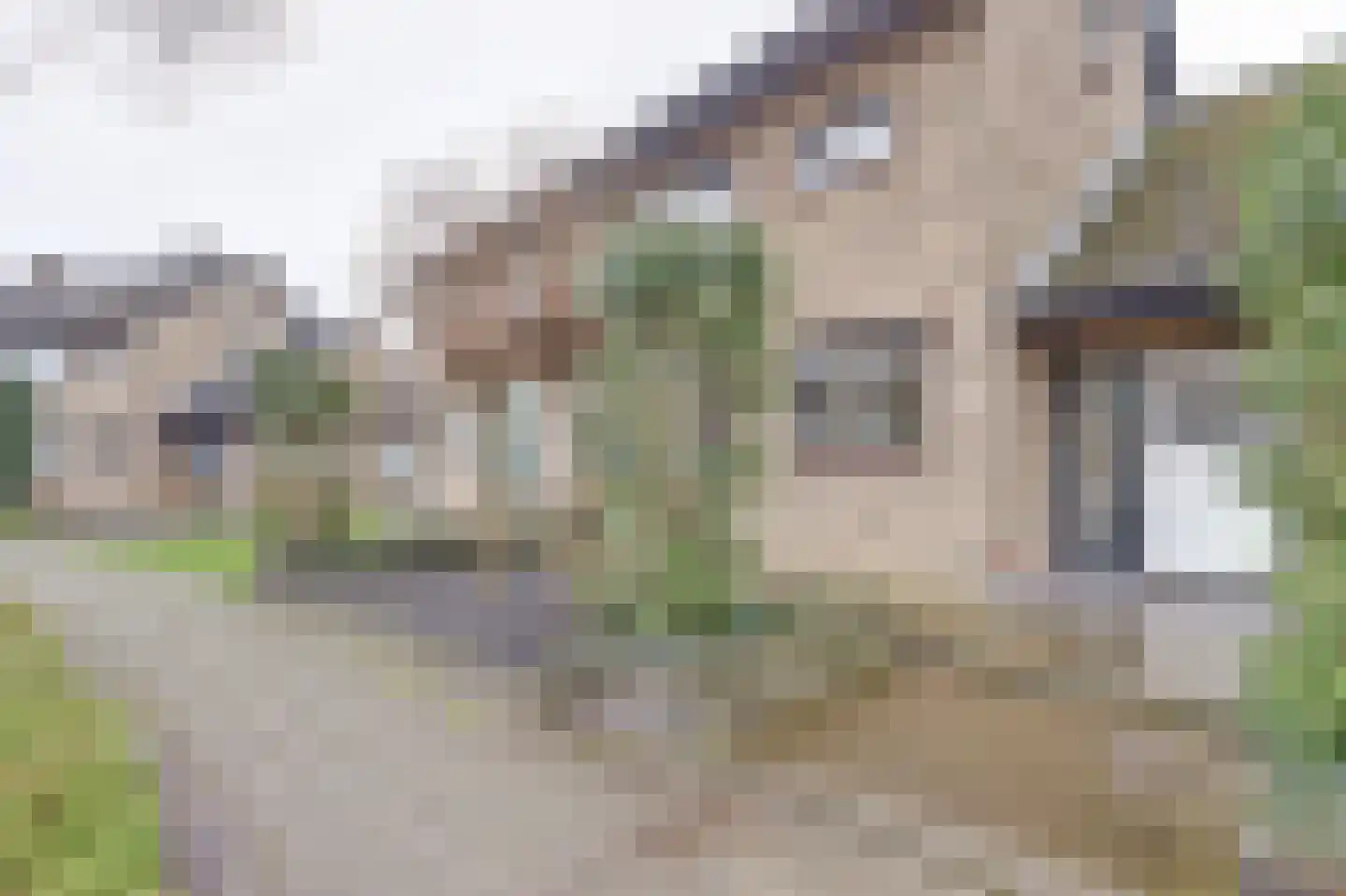 Schimmelpenninckstraat 12 Zwijndrecht thumbnail 46