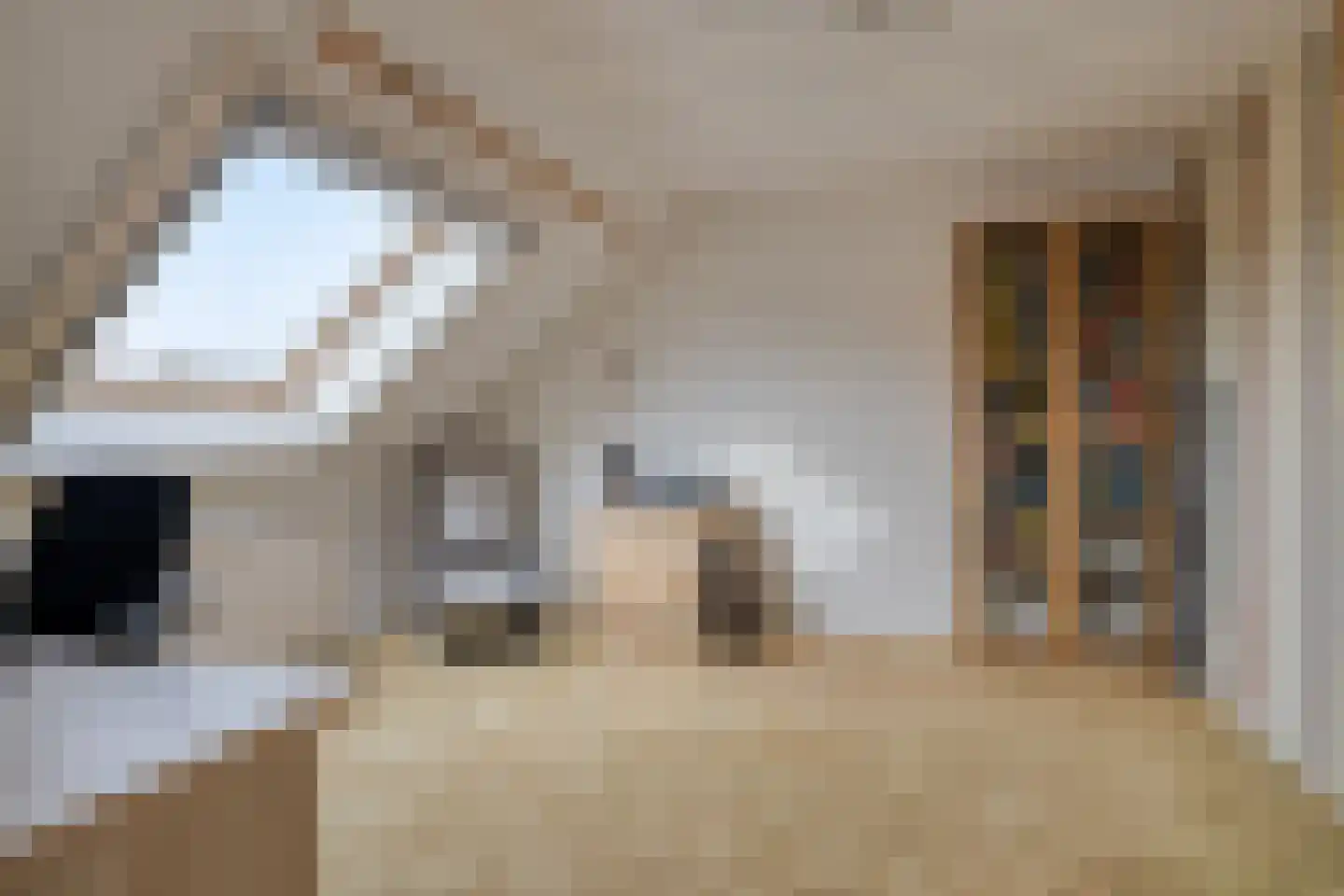Schimmelpenninckstraat 13 Olst thumbnail 23