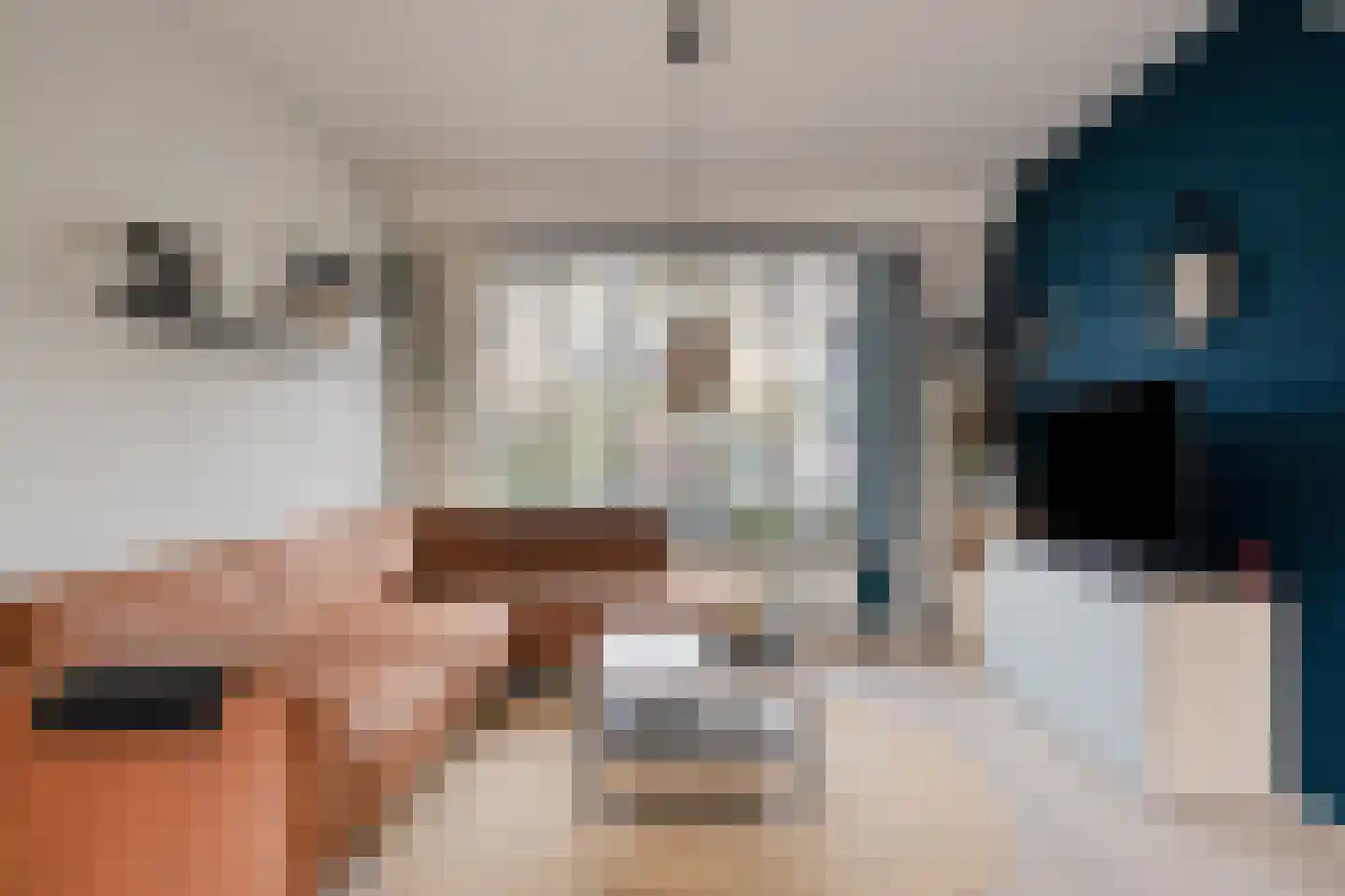 Schimmelpenninckstraat 13 Olst thumbnail 5