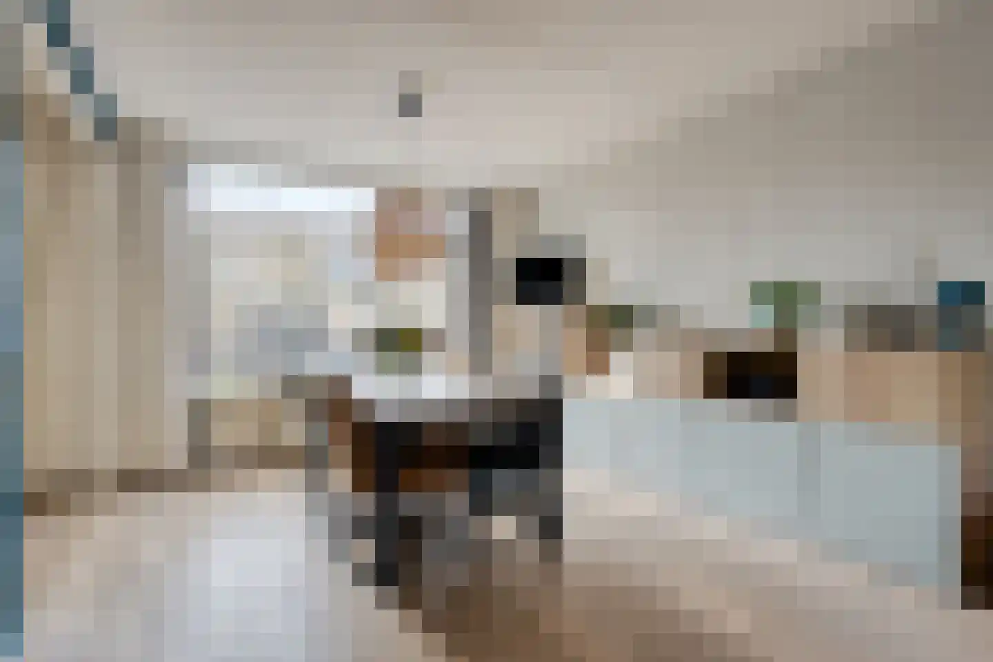 Schimmelpenninckstraat 13 Olst thumbnail 7