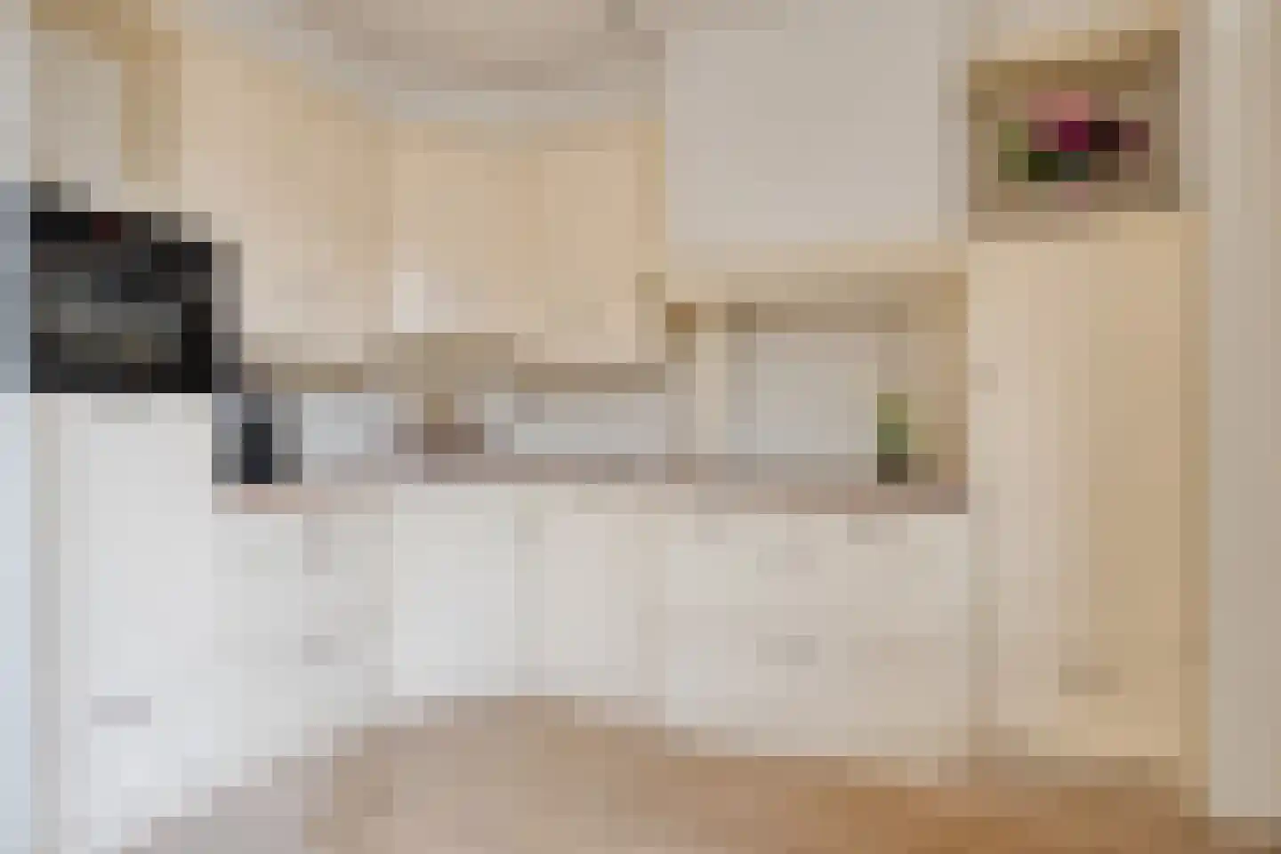 Schimmelpenninckstraat 13 Olst thumbnail 9