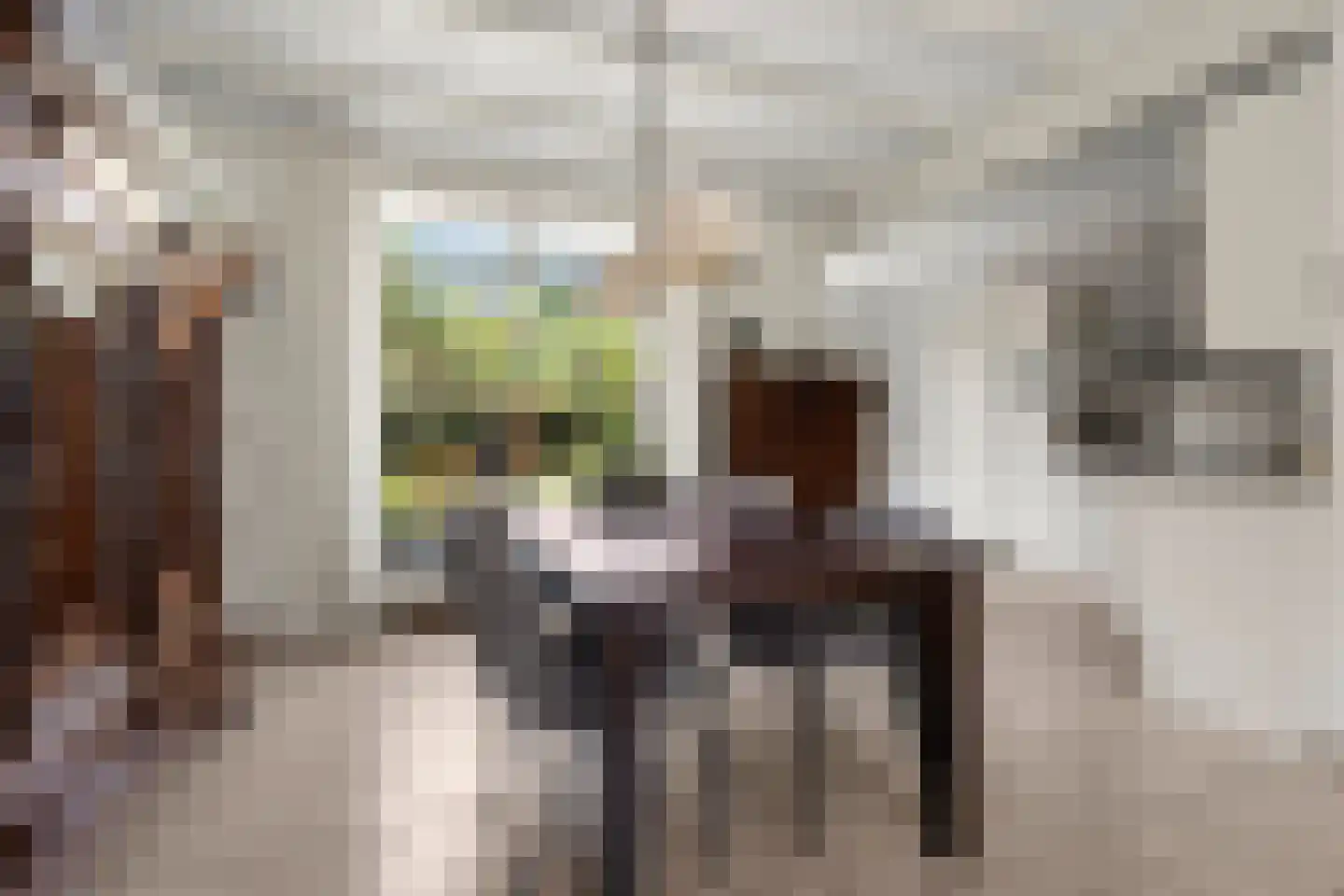 Schimmelpenninckstraat 14 Nijkerk thumbnail 10