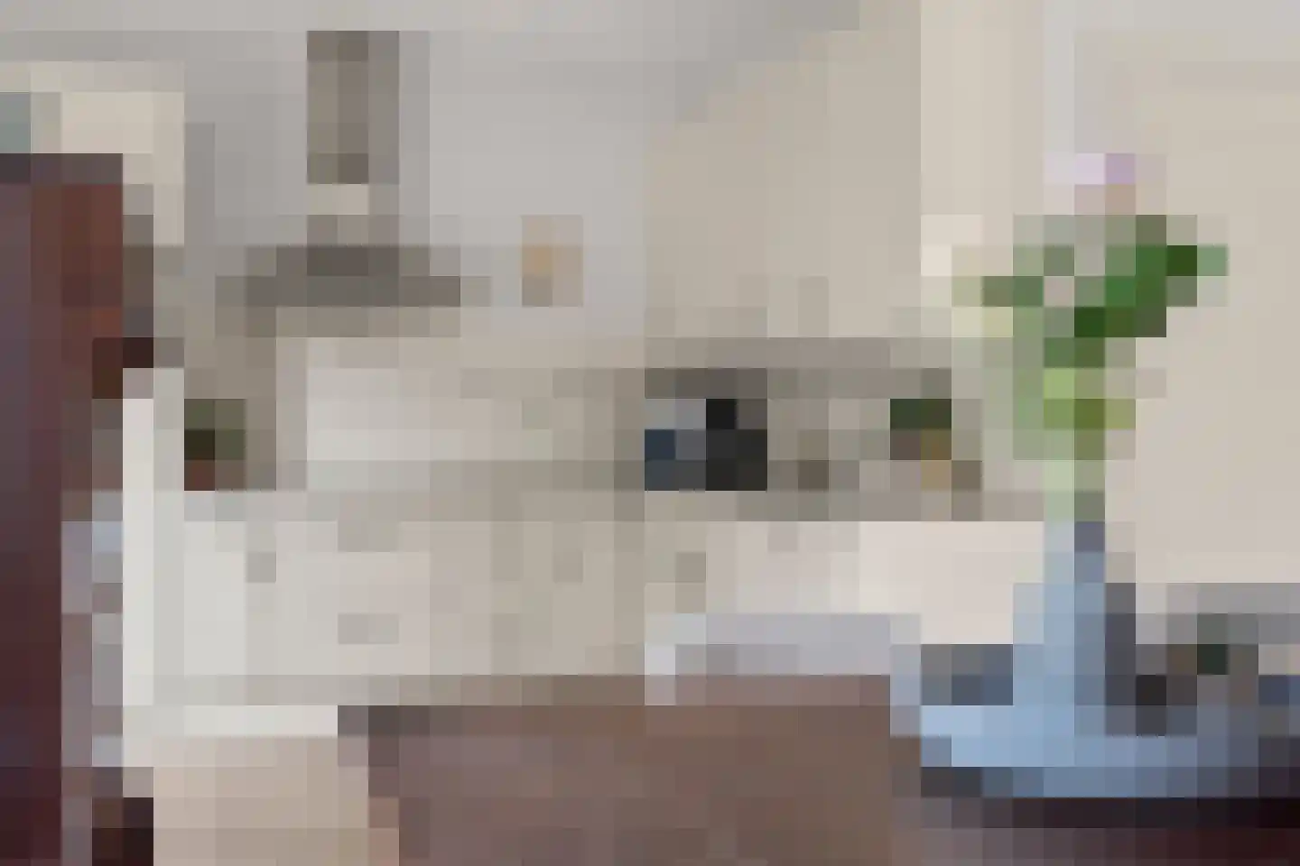 Schimmelpenninckstraat 14 Nijkerk thumbnail 17
