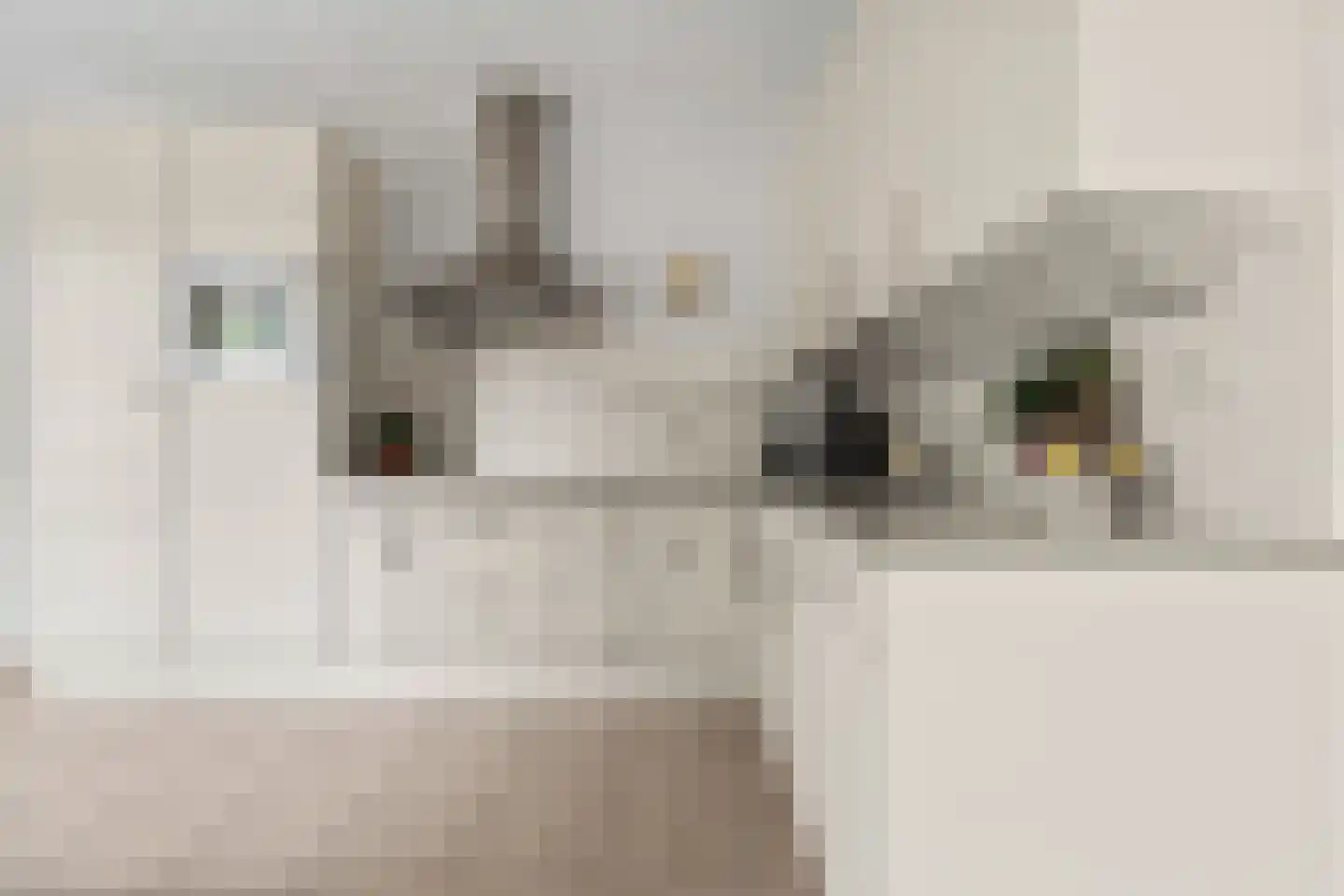 Schimmelpenninckstraat 14 Nijkerk thumbnail 20