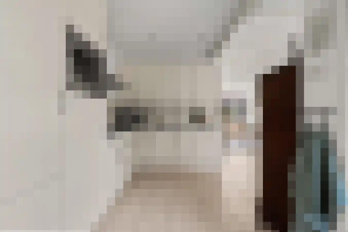 Schimmelpenninckstraat 14 Nijkerk thumbnail 21