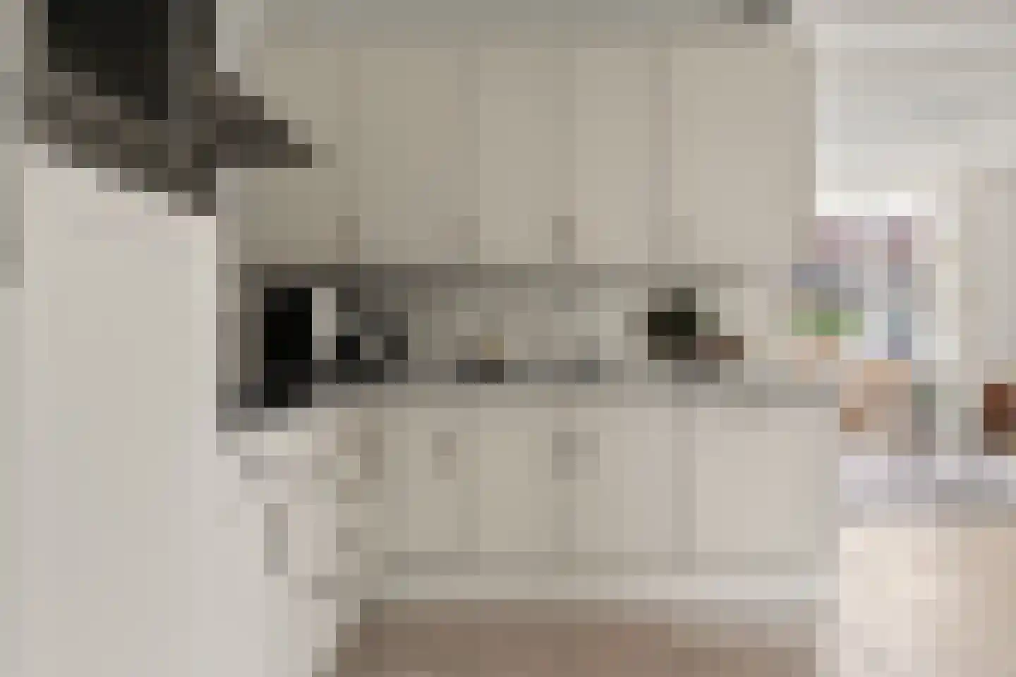 Schimmelpenninckstraat 14 Nijkerk thumbnail 22