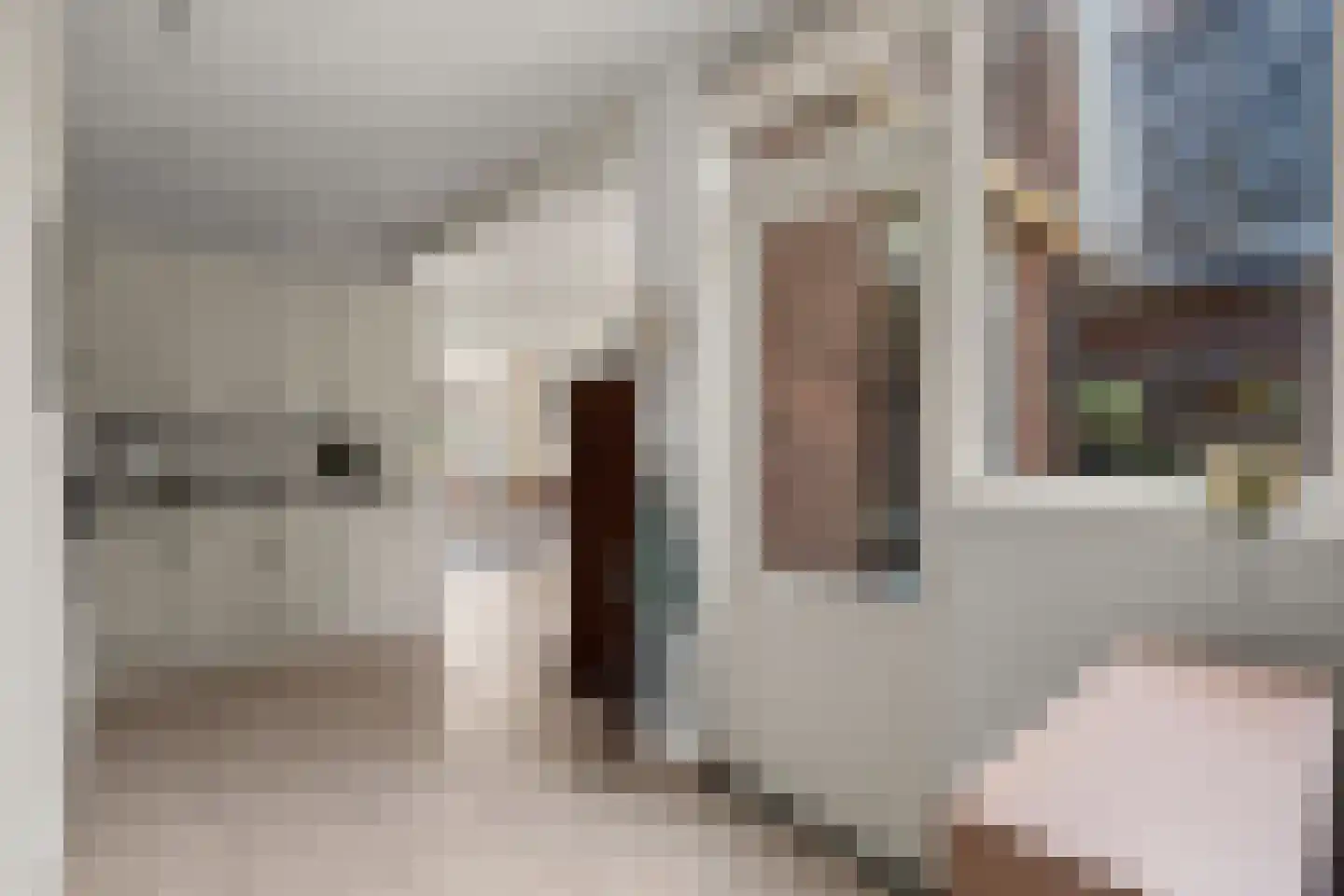 Schimmelpenninckstraat 14 Nijkerk thumbnail 25