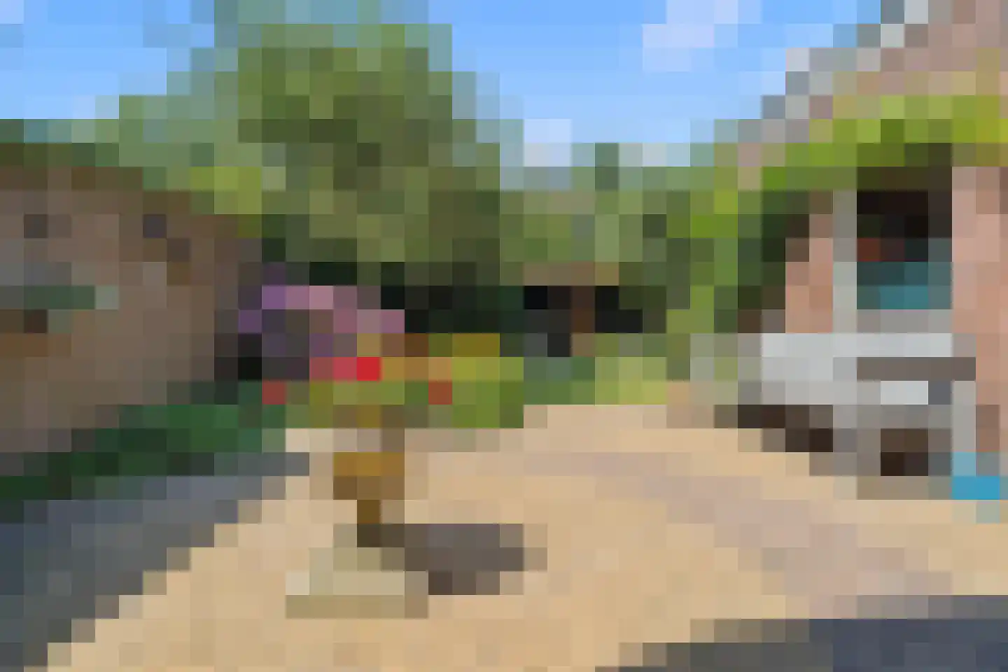 Schimmelpenninckstraat 14 Nijkerk thumbnail 46
