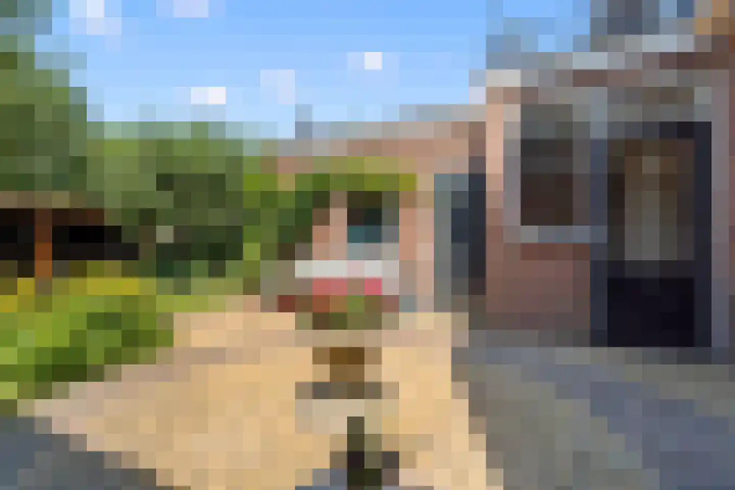 Schimmelpenninckstraat 14 Nijkerk thumbnail 47