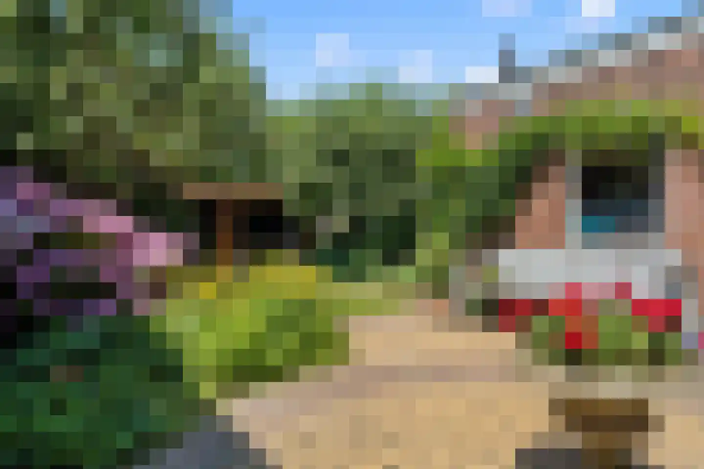 Schimmelpenninckstraat 14 Nijkerk thumbnail 48