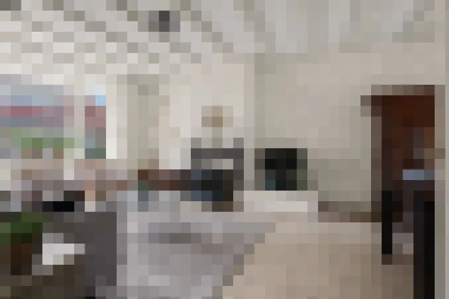 Schimmelpenninckstraat 14 Nijkerk thumbnail 5
