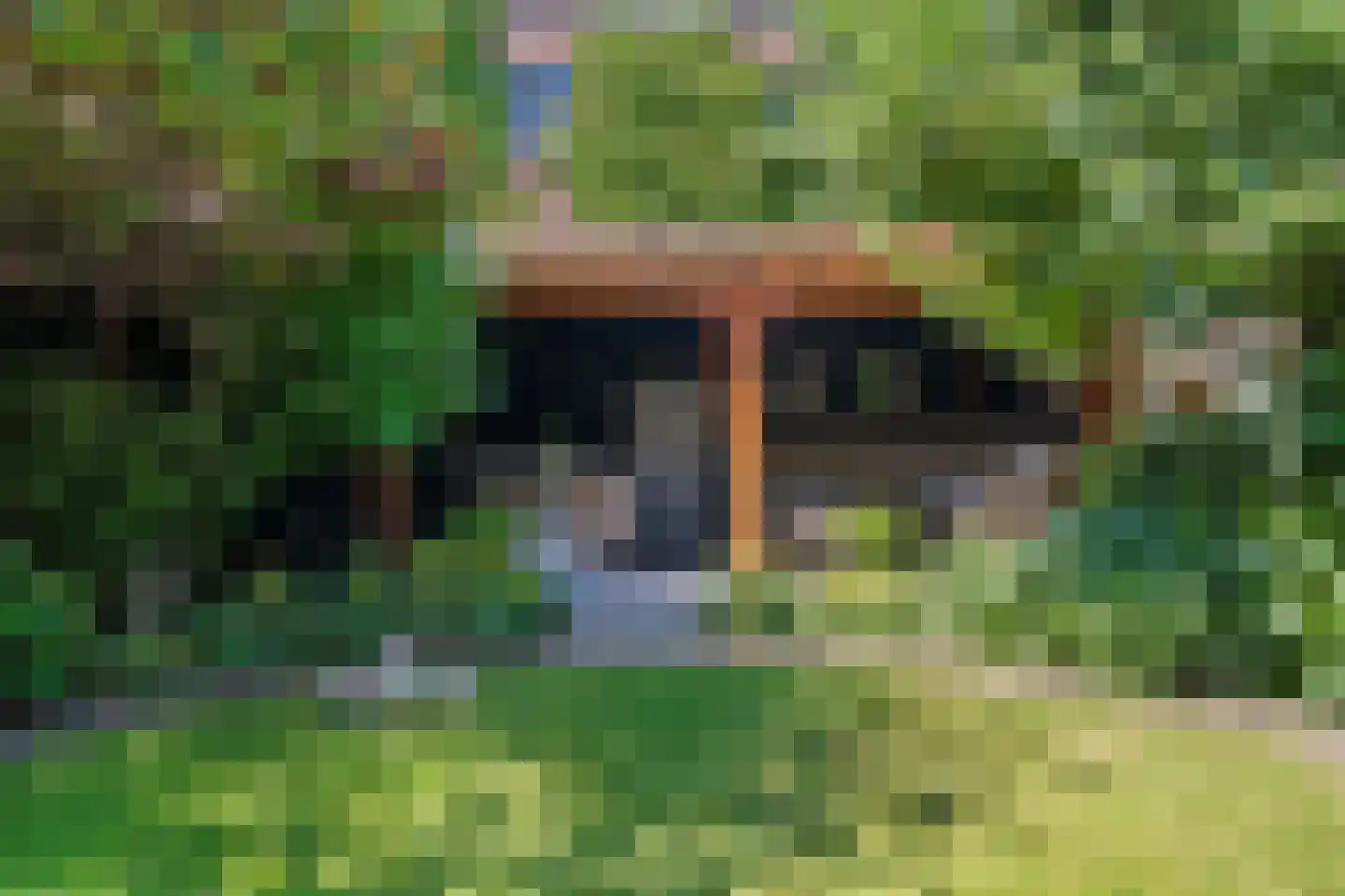 Schimmelpenninckstraat 14 Nijkerk thumbnail 51
