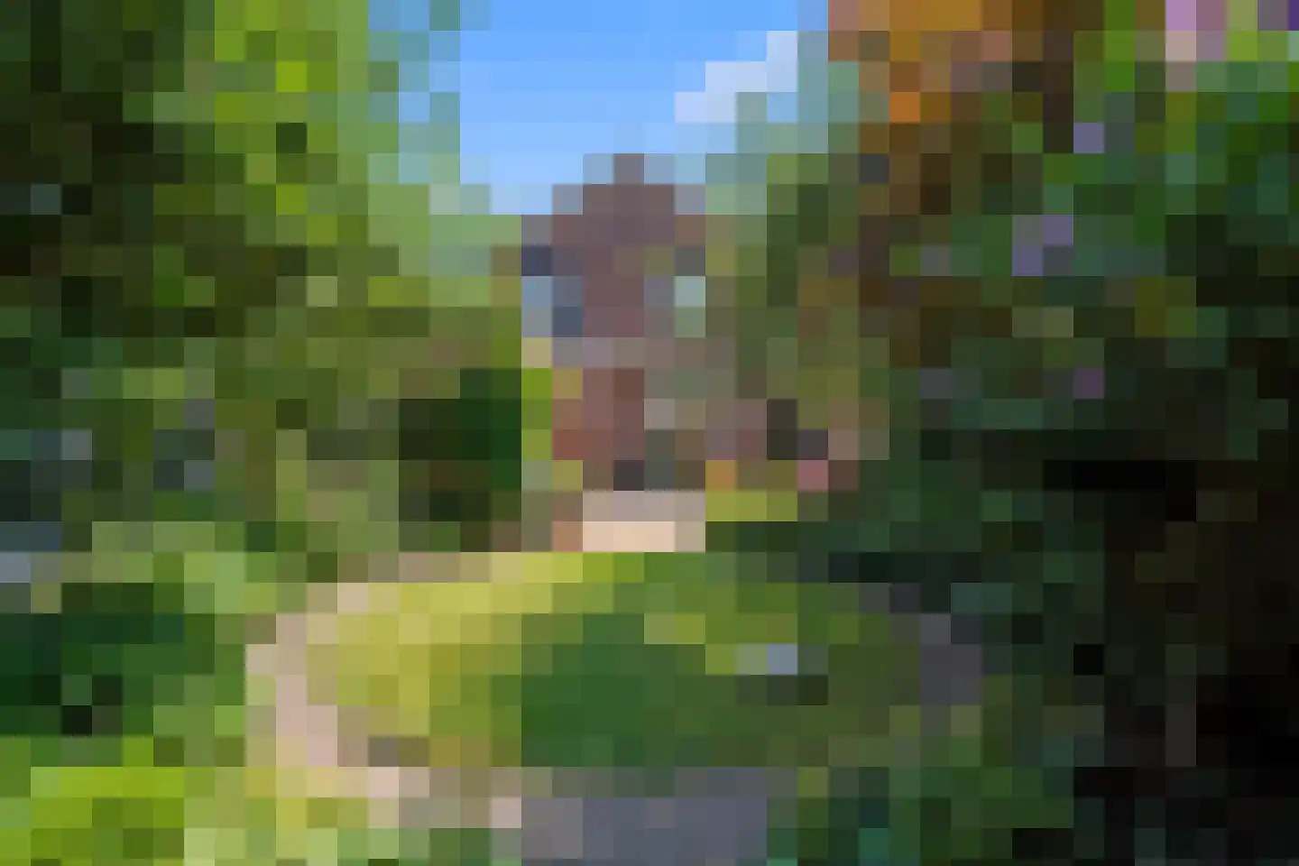 Schimmelpenninckstraat 14 Nijkerk thumbnail 54