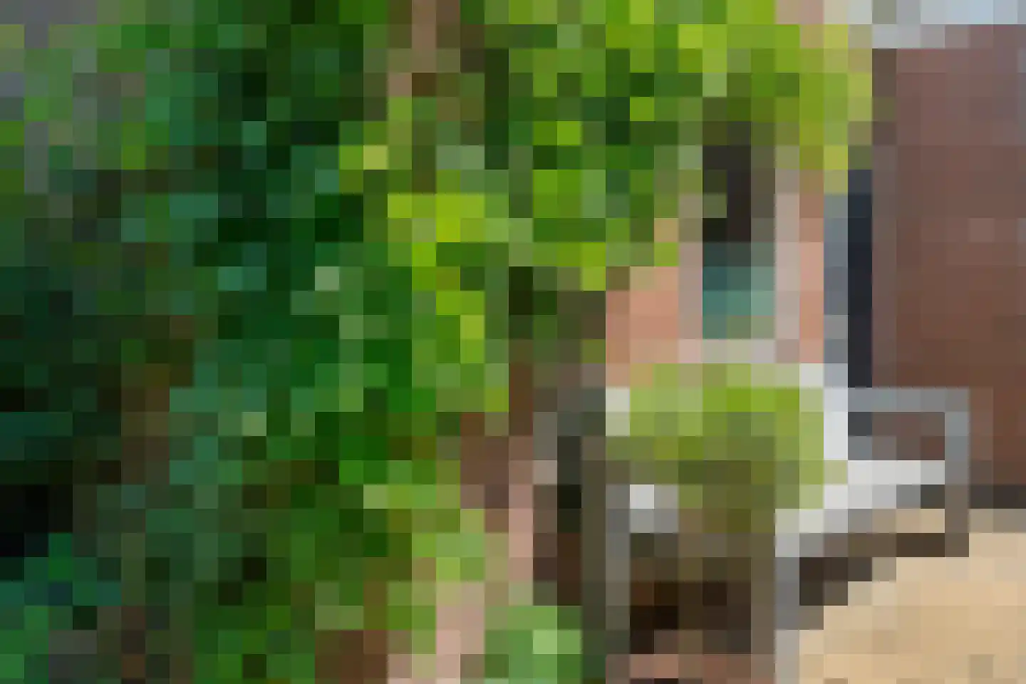 Schimmelpenninckstraat 14 Nijkerk thumbnail 55