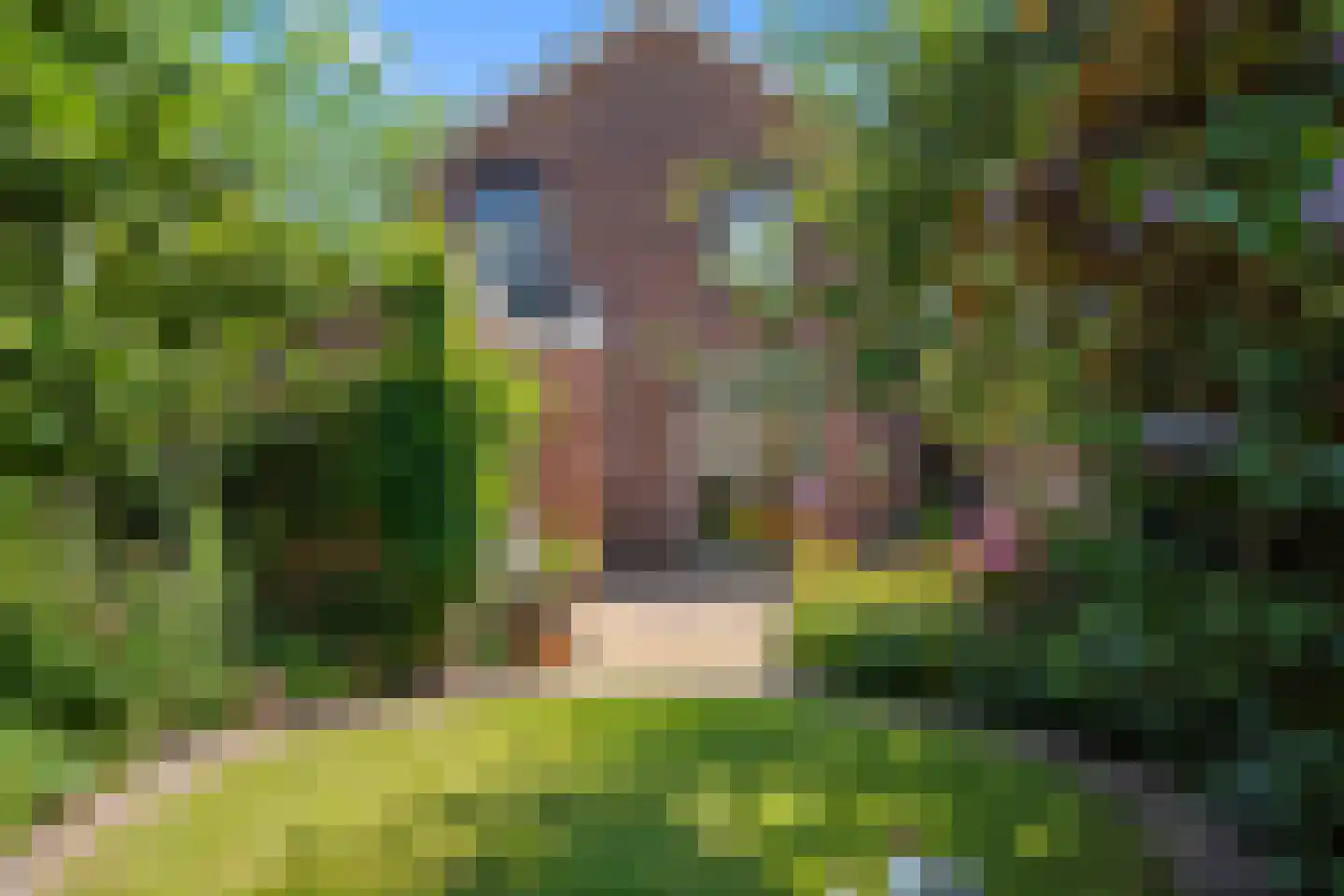 Schimmelpenninckstraat 14 Nijkerk thumbnail 59