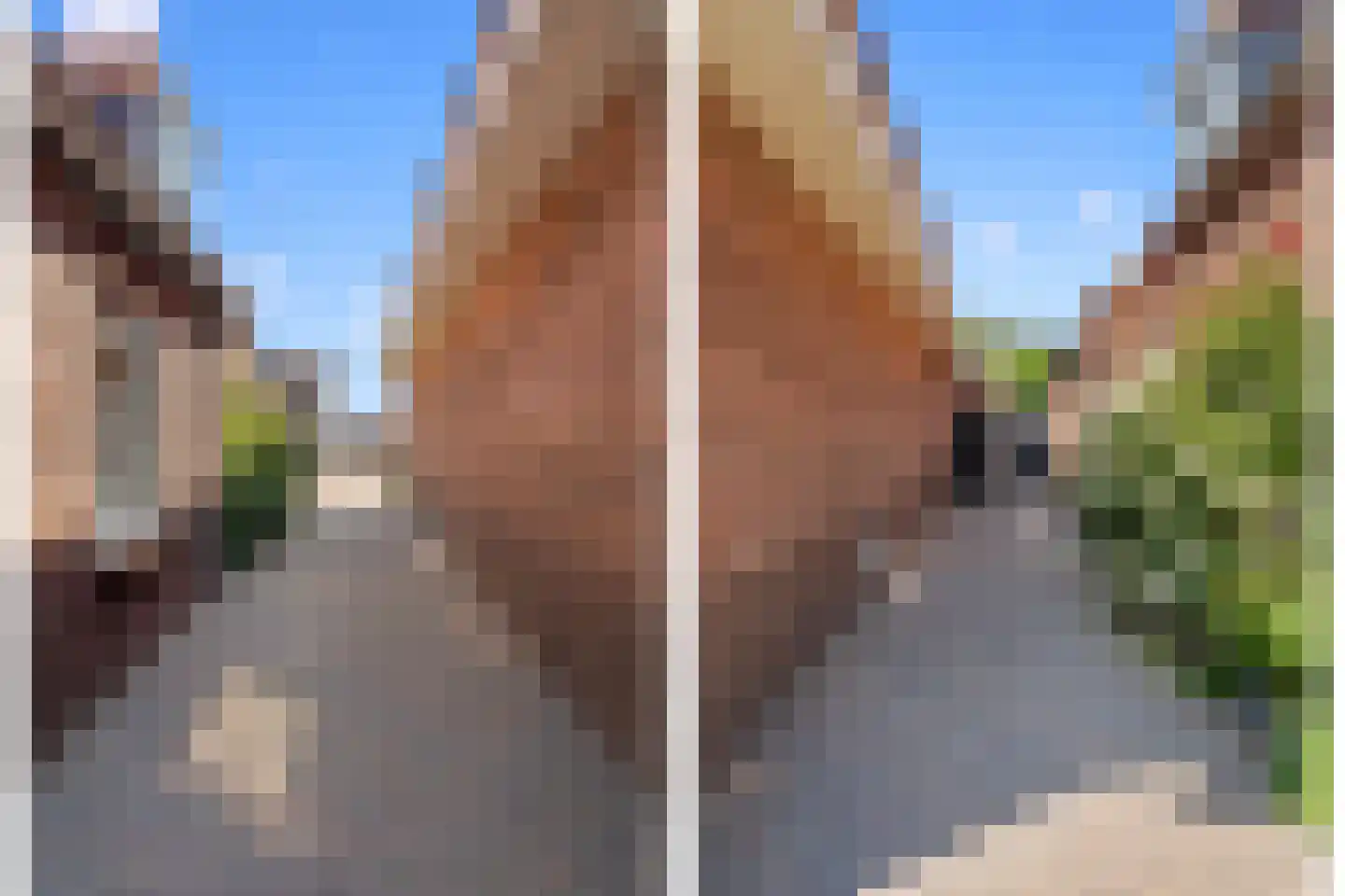 Schimmelpenninckstraat 14 Nijkerk thumbnail 62