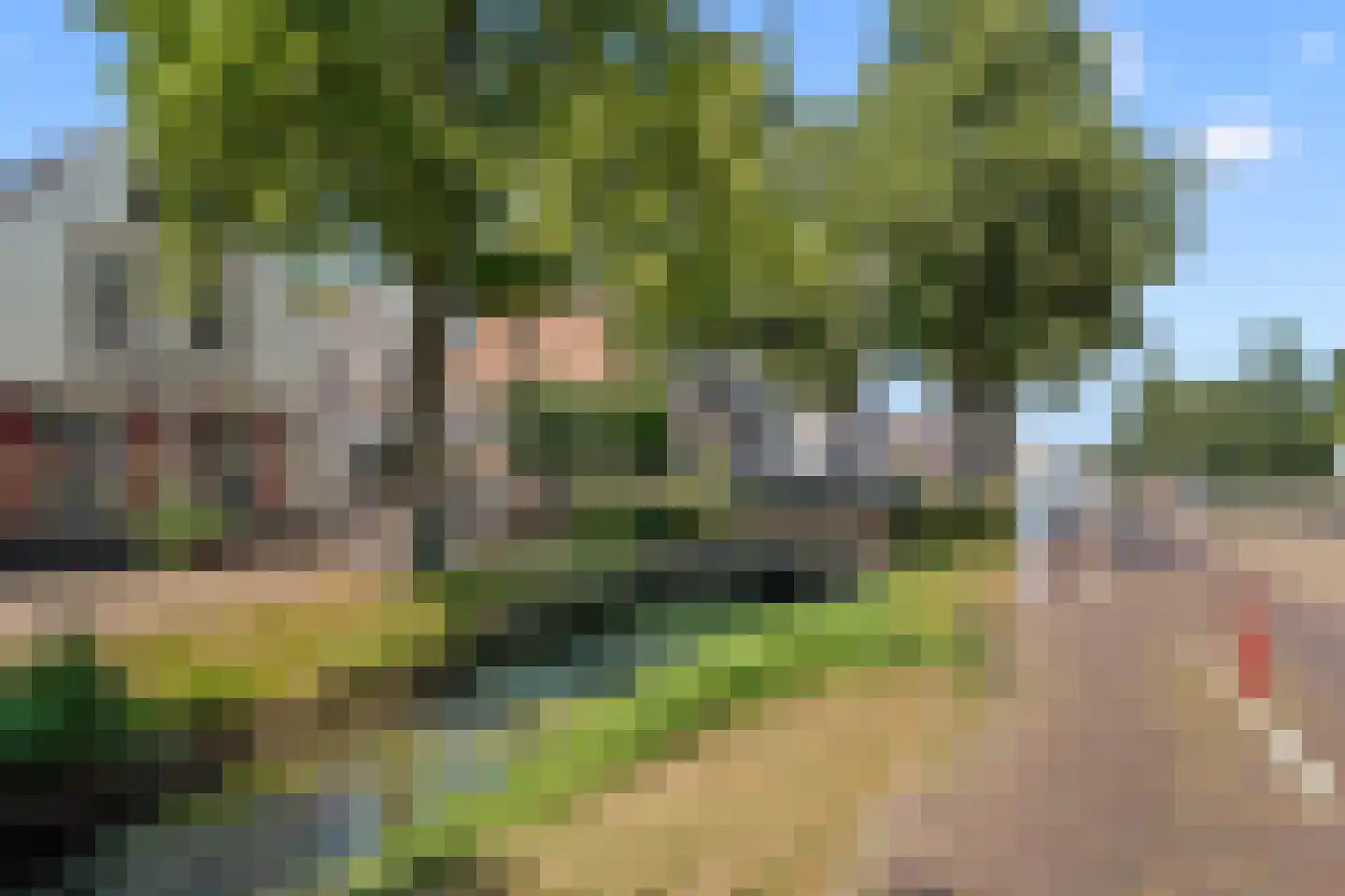 Schimmelpenninckstraat 14 Nijkerk thumbnail 69