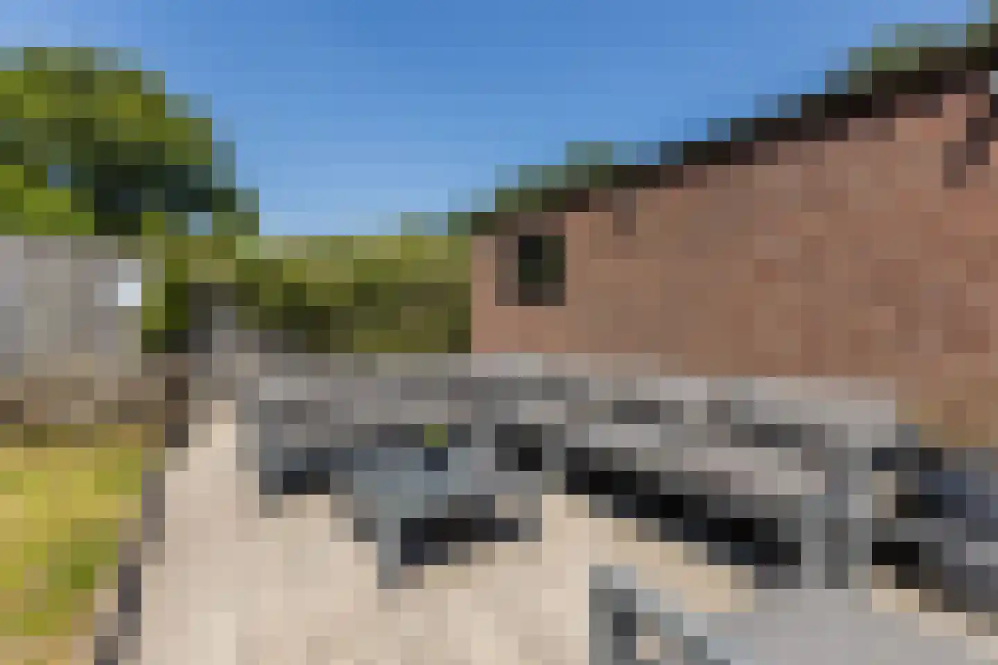 Schimmelpenninckstraat 16 Rijen thumbnail 15
