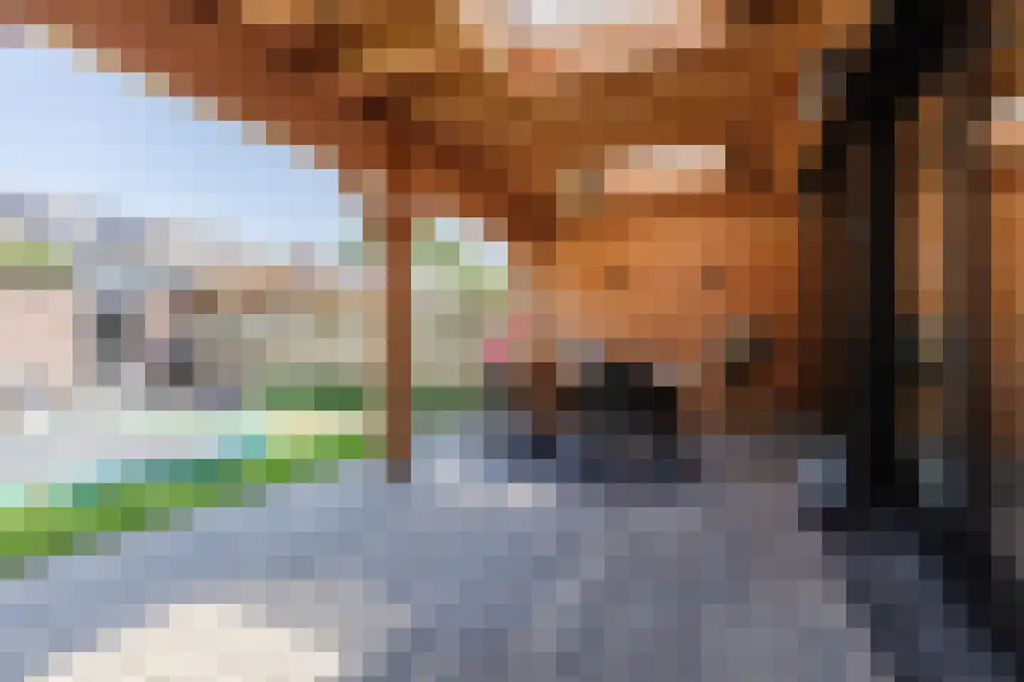 Schimmelpenninckstraat 16 Rijen thumbnail 18