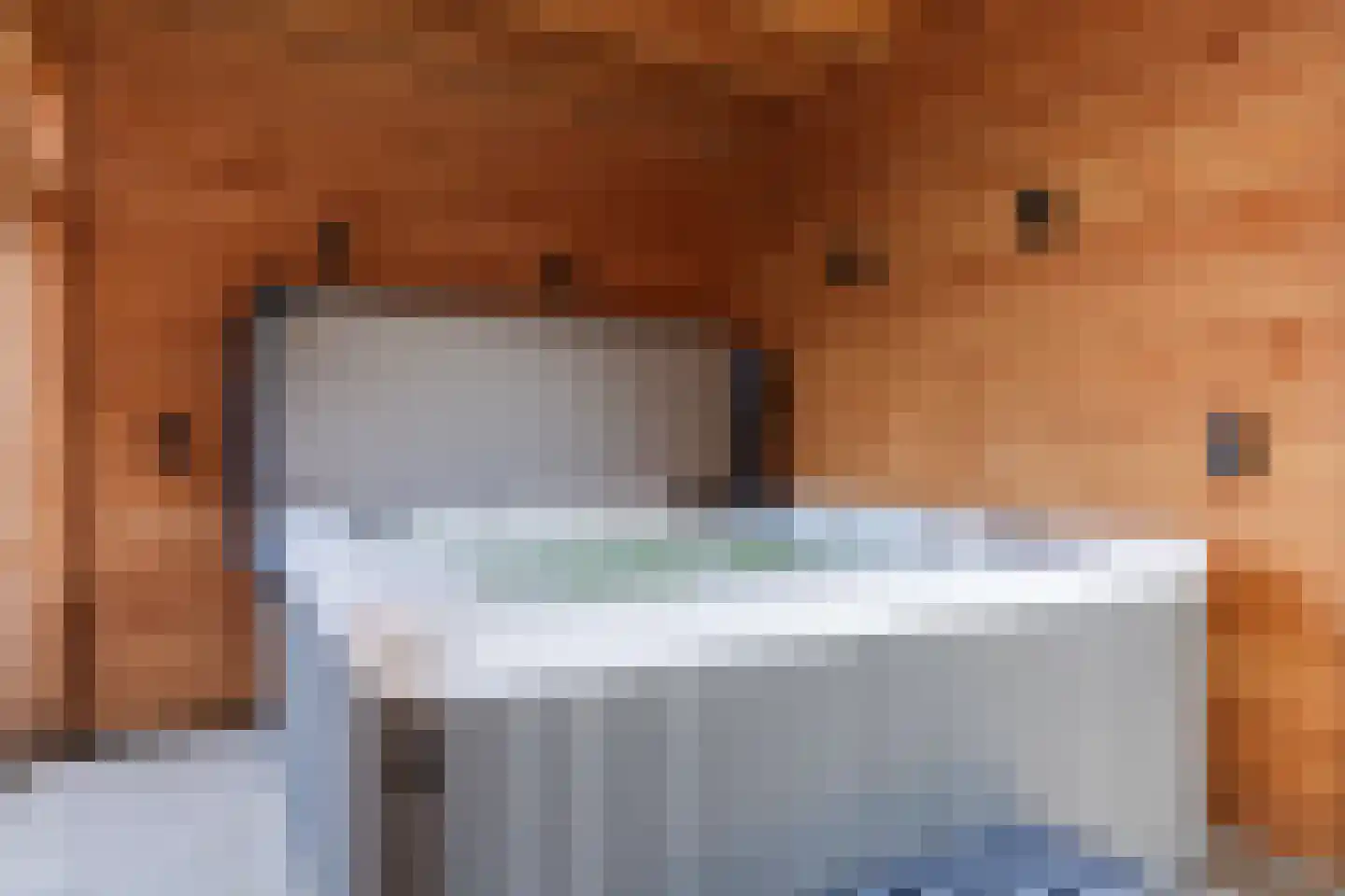 Schimmelpenninckstraat 16 Rijen thumbnail 20
