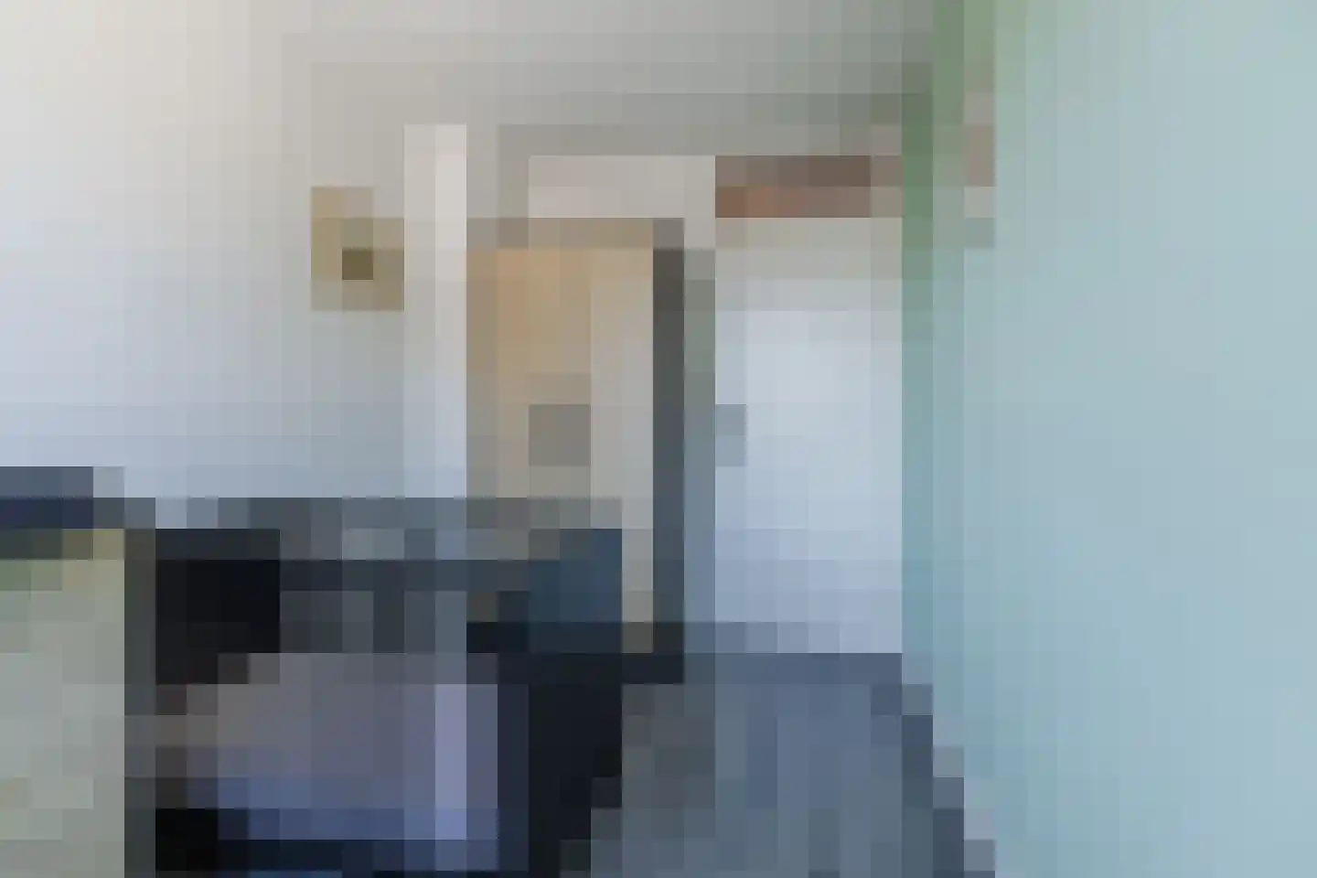 Schimmelpenninckstraat 16 Rijen thumbnail 32