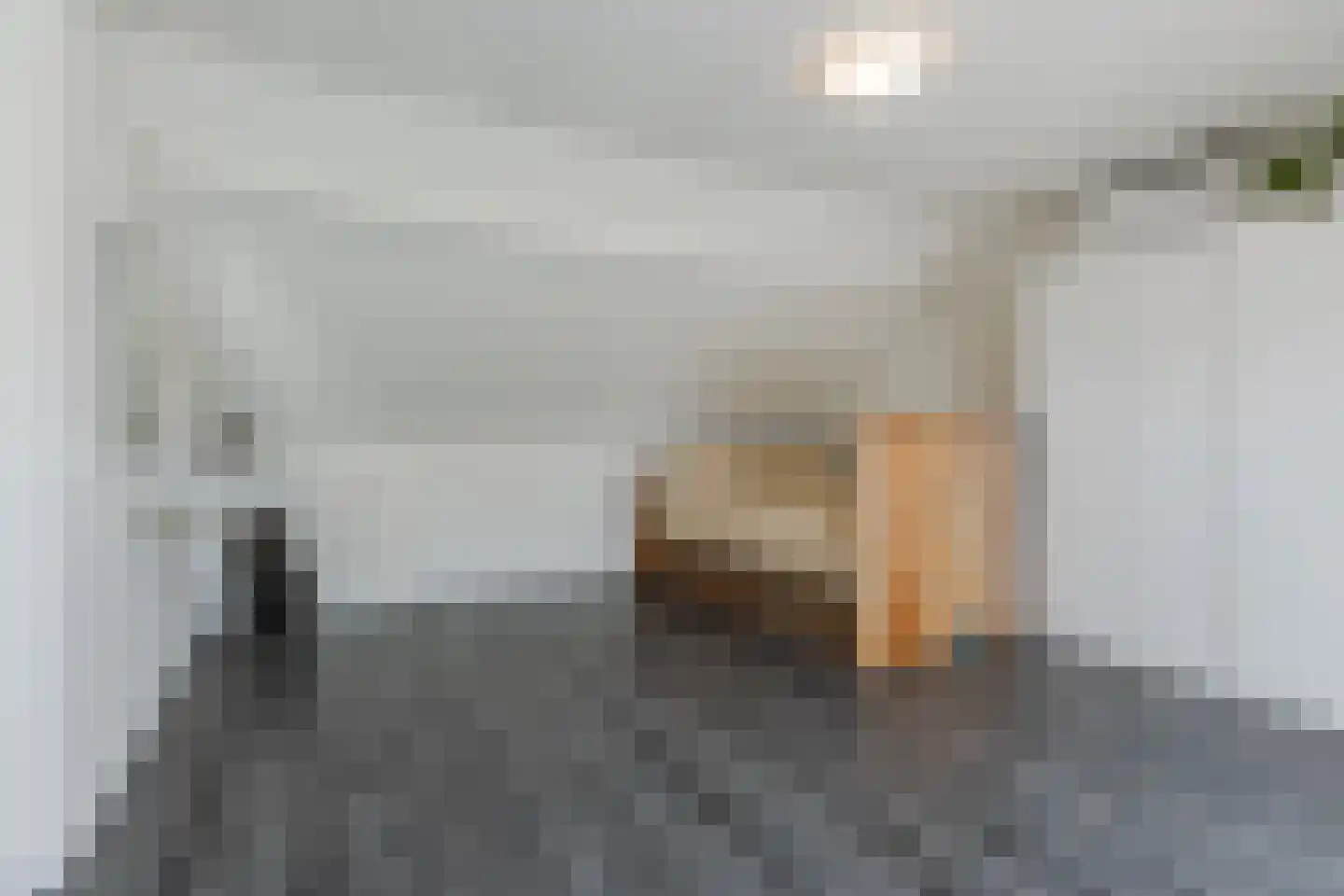 Schimmelpenninckstraat 16 Rijen thumbnail 40