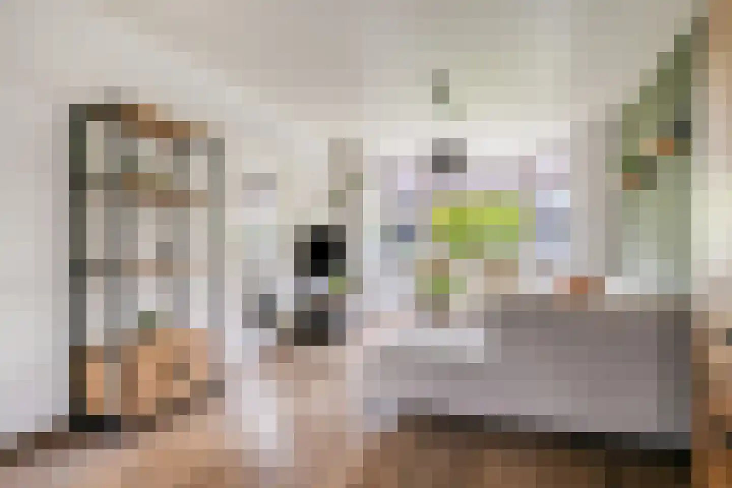 Schimmelpenninckstraat 23 Grave thumbnail 10