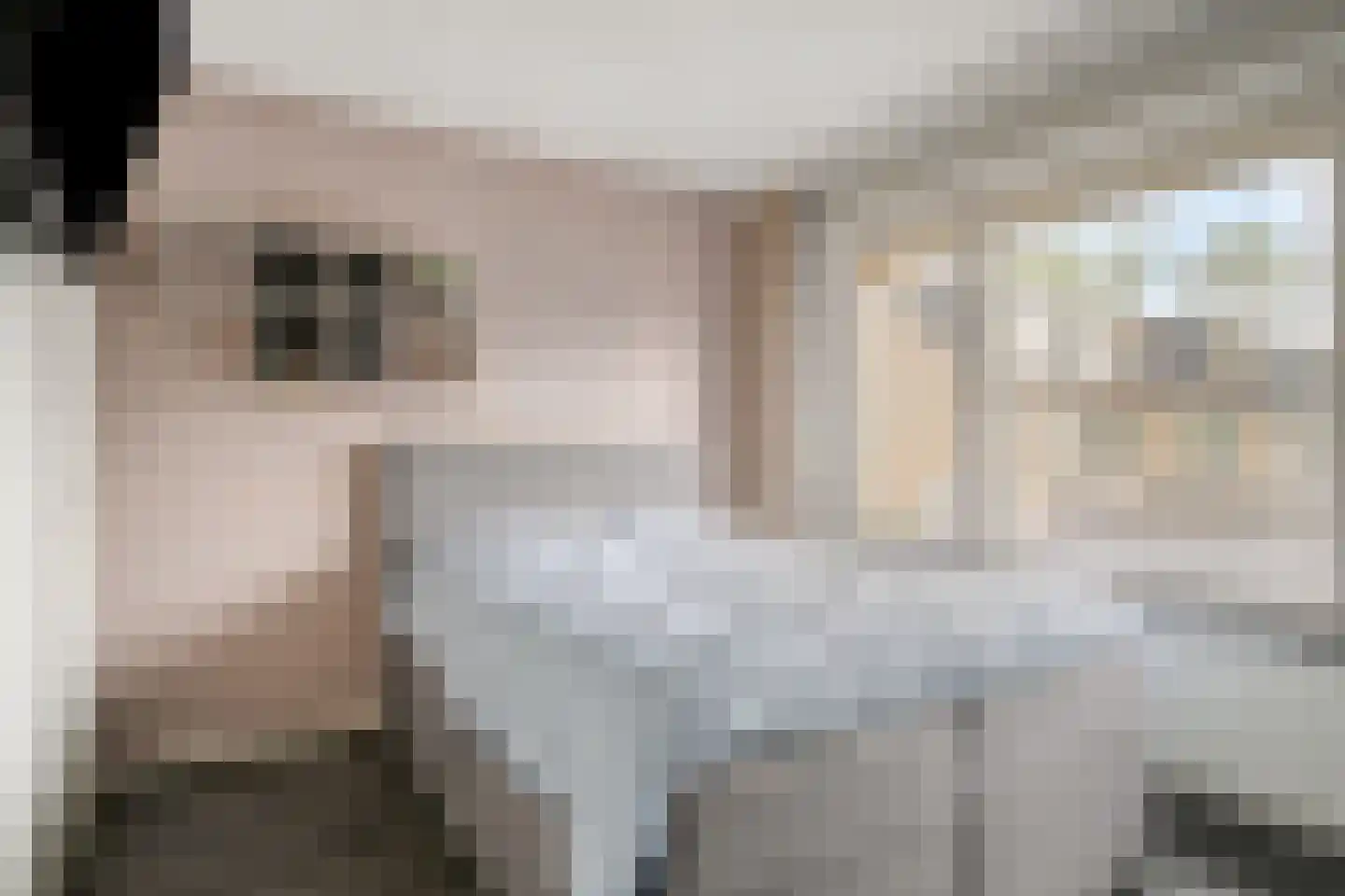 Schimmelpenninckstraat 23 Grave thumbnail 16