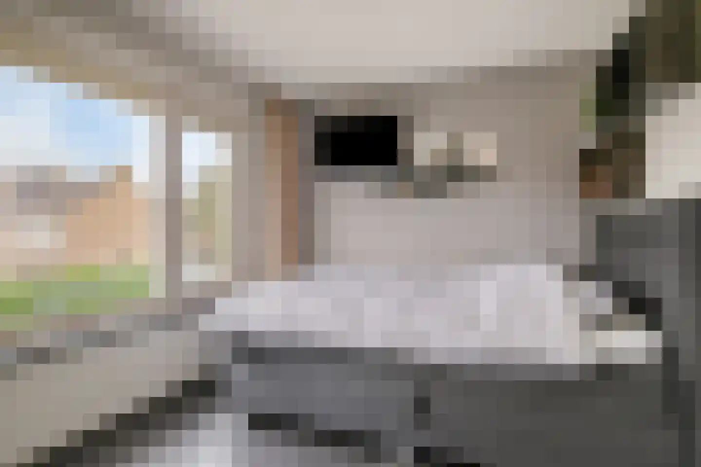Schimmelpenninckstraat 23 Grave thumbnail 18